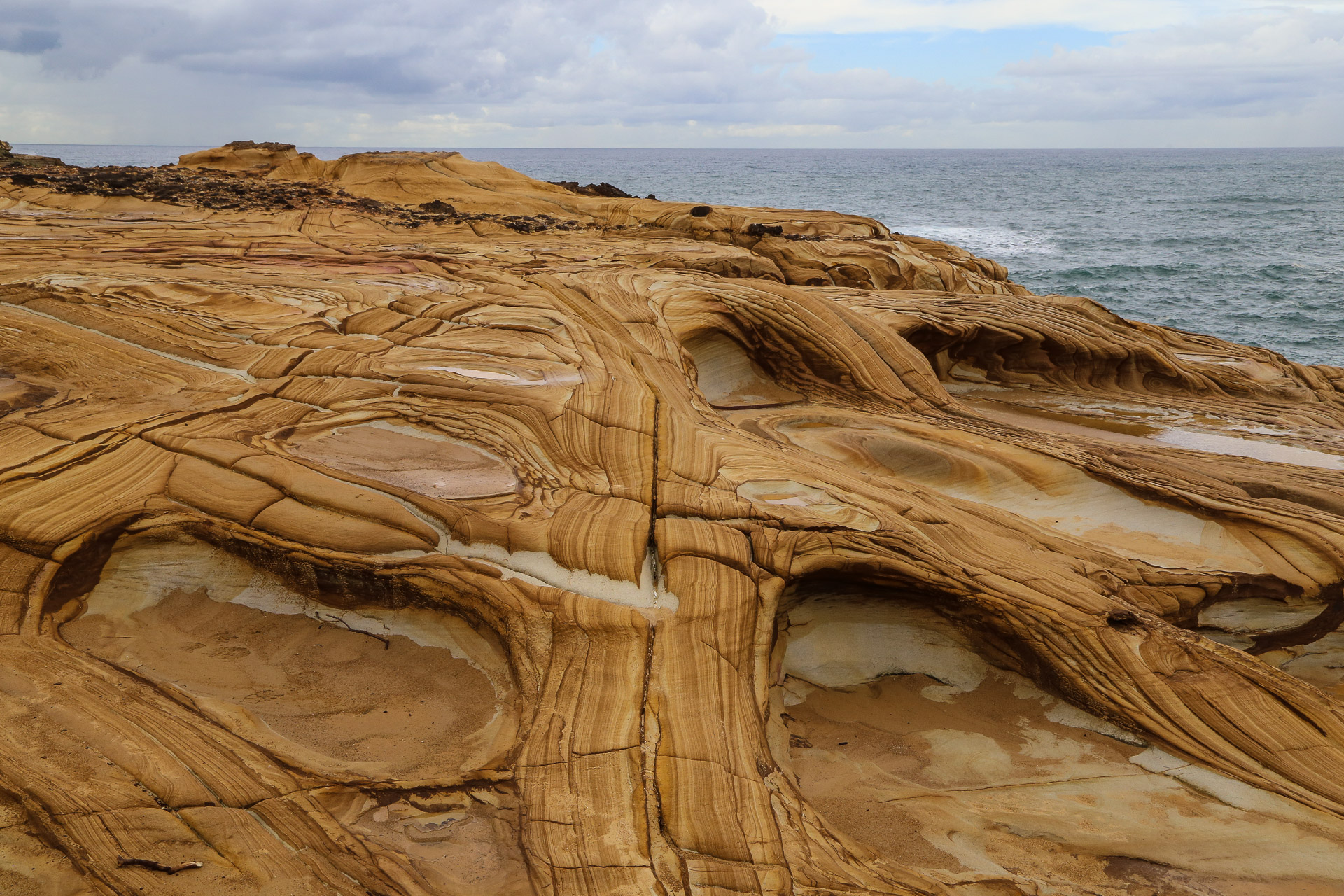 Coastal Walk Bouddi National Park