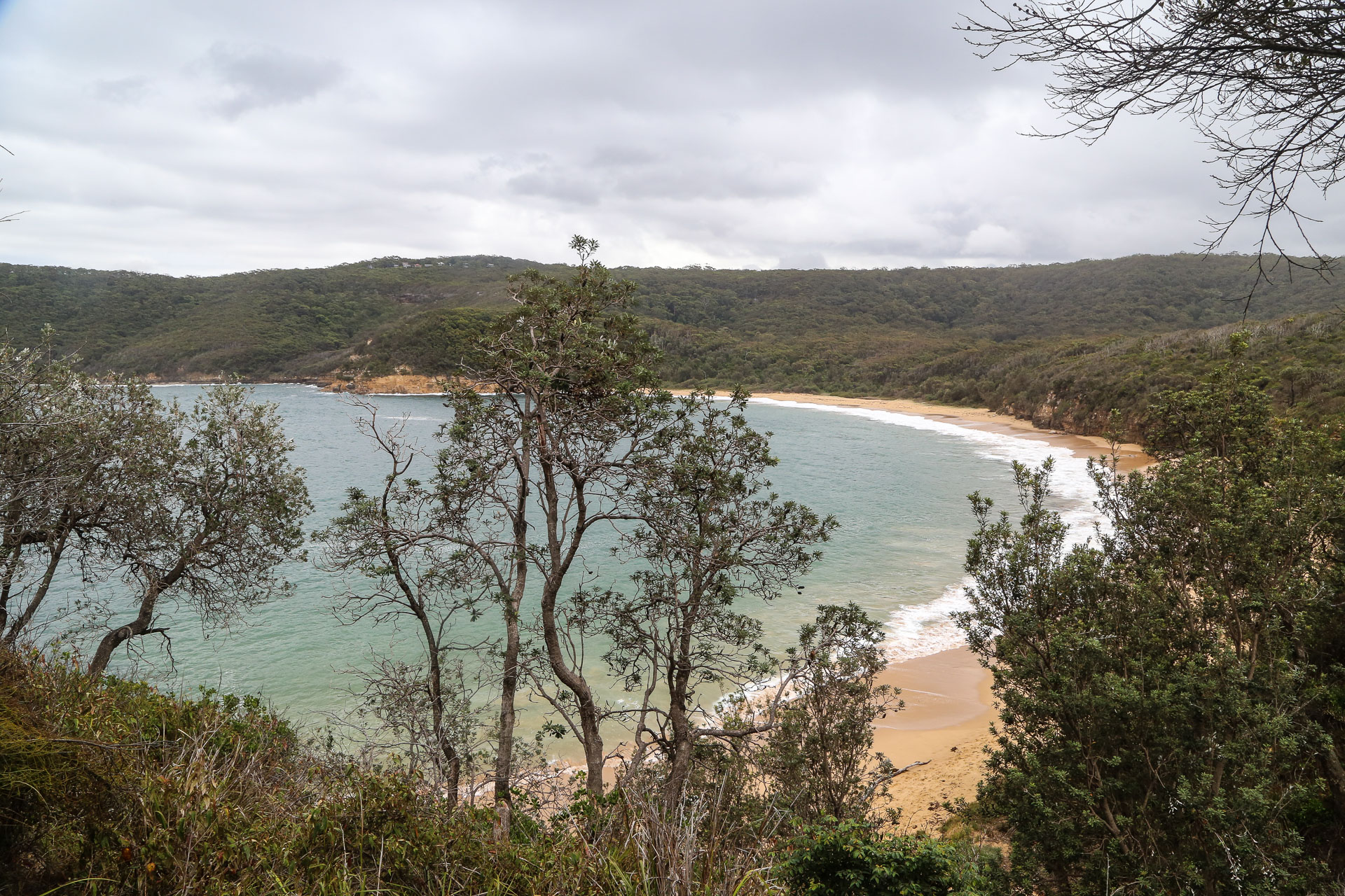 Coastal Walk Bouddi National Park Maitland Bay