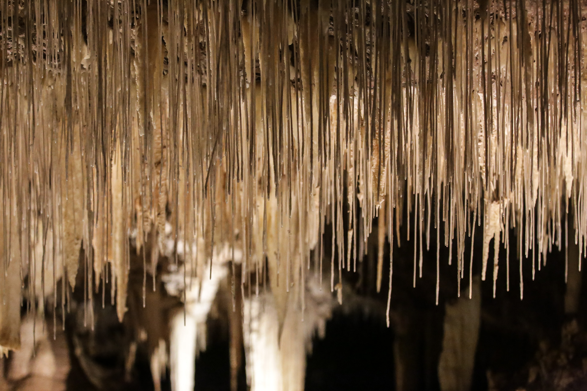 Voyage Australie stalactites Lake Cave