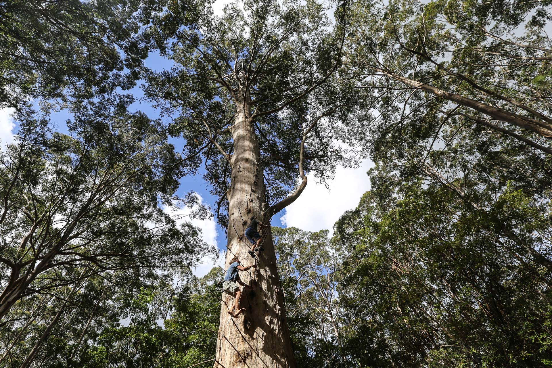 De Margaret River à Pemberton