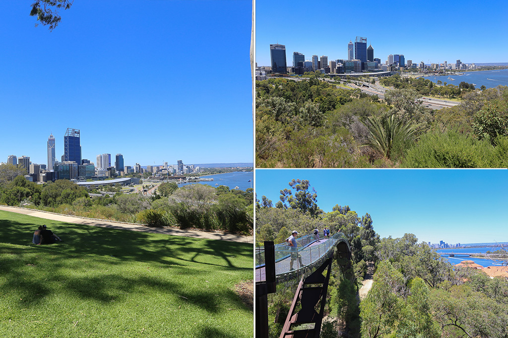 Kings Park Perth