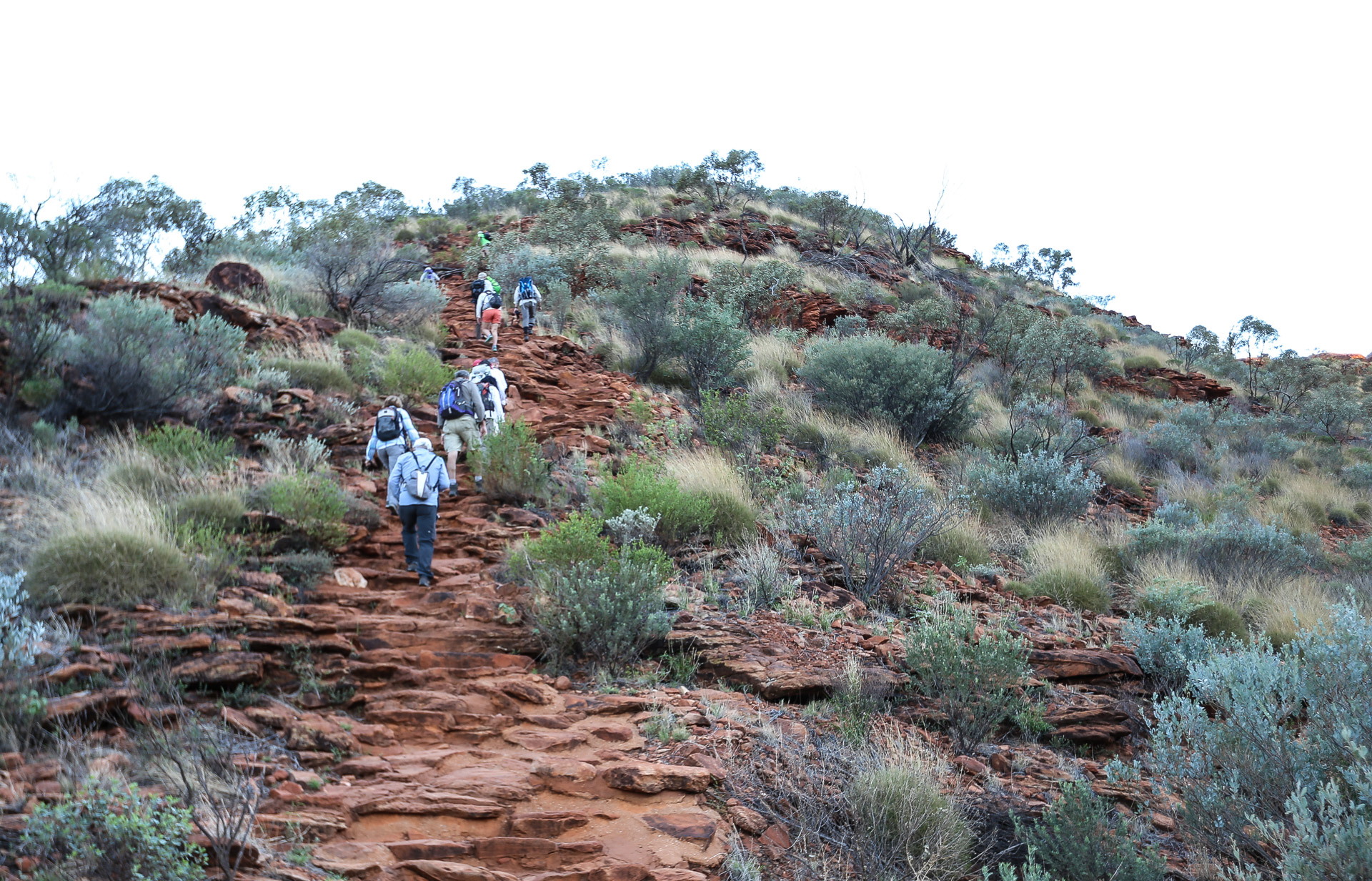 Montée des Infarctus - De Kings Canyon à Ayers Rock