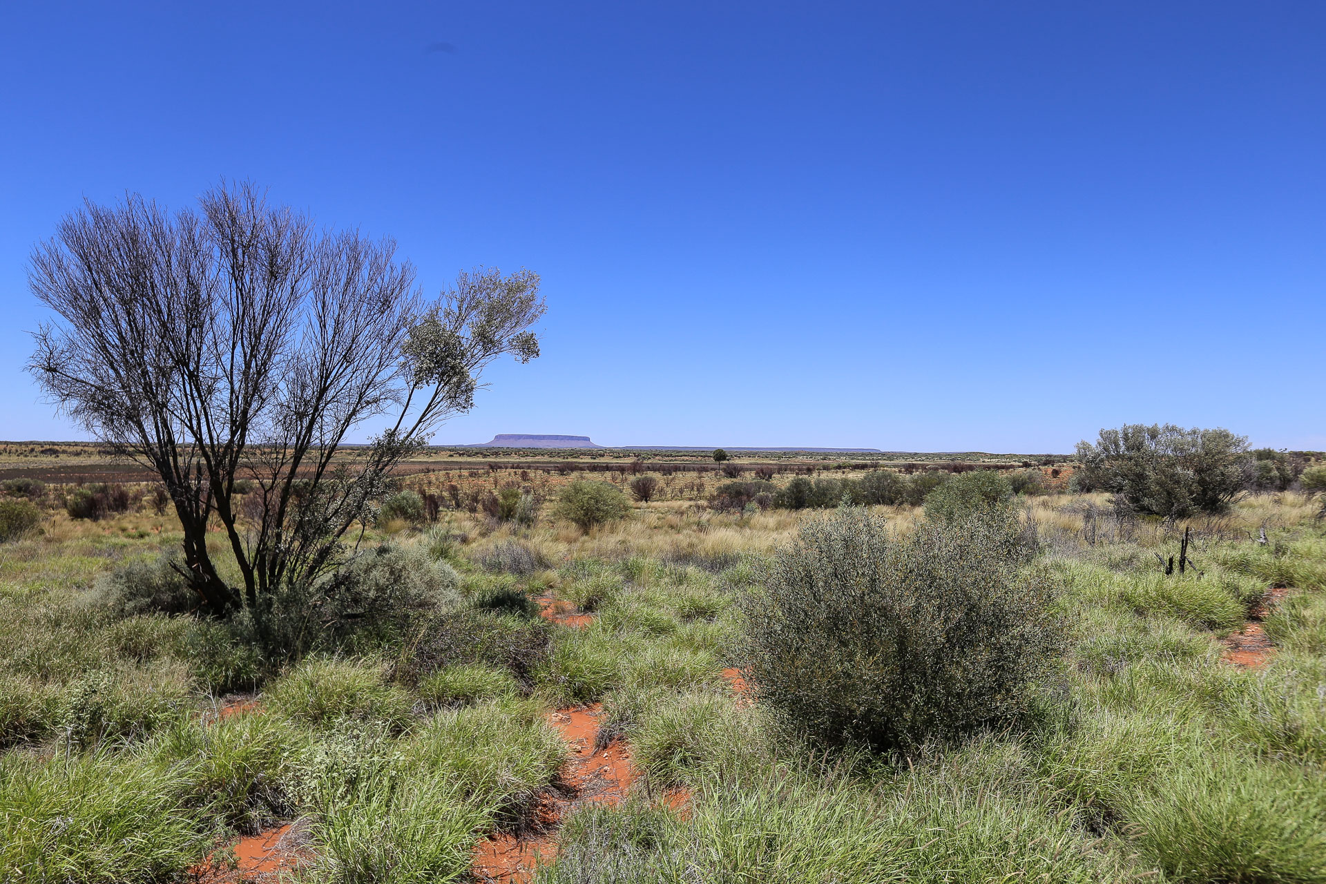 Le Mt Conner - De Kings Canyon à Ayers Rock