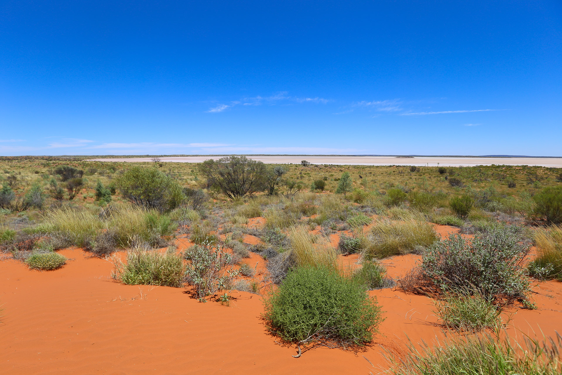 Lac salé dans le bush australien - De Kings Canyon à Ayers Rock