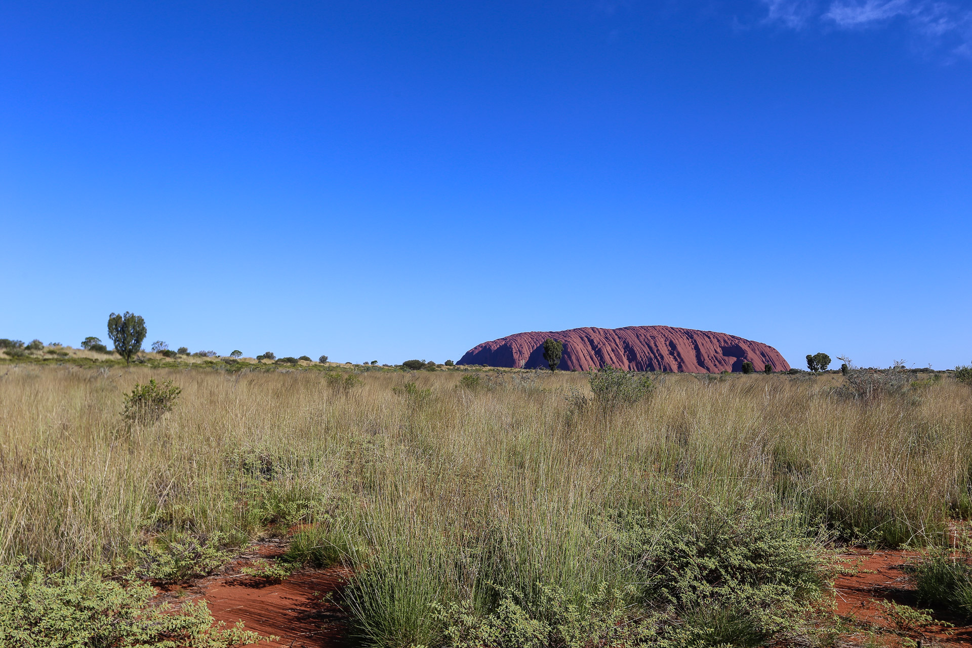 La montagne se rapproche ... - De Kings Canyon à Ayers Rock