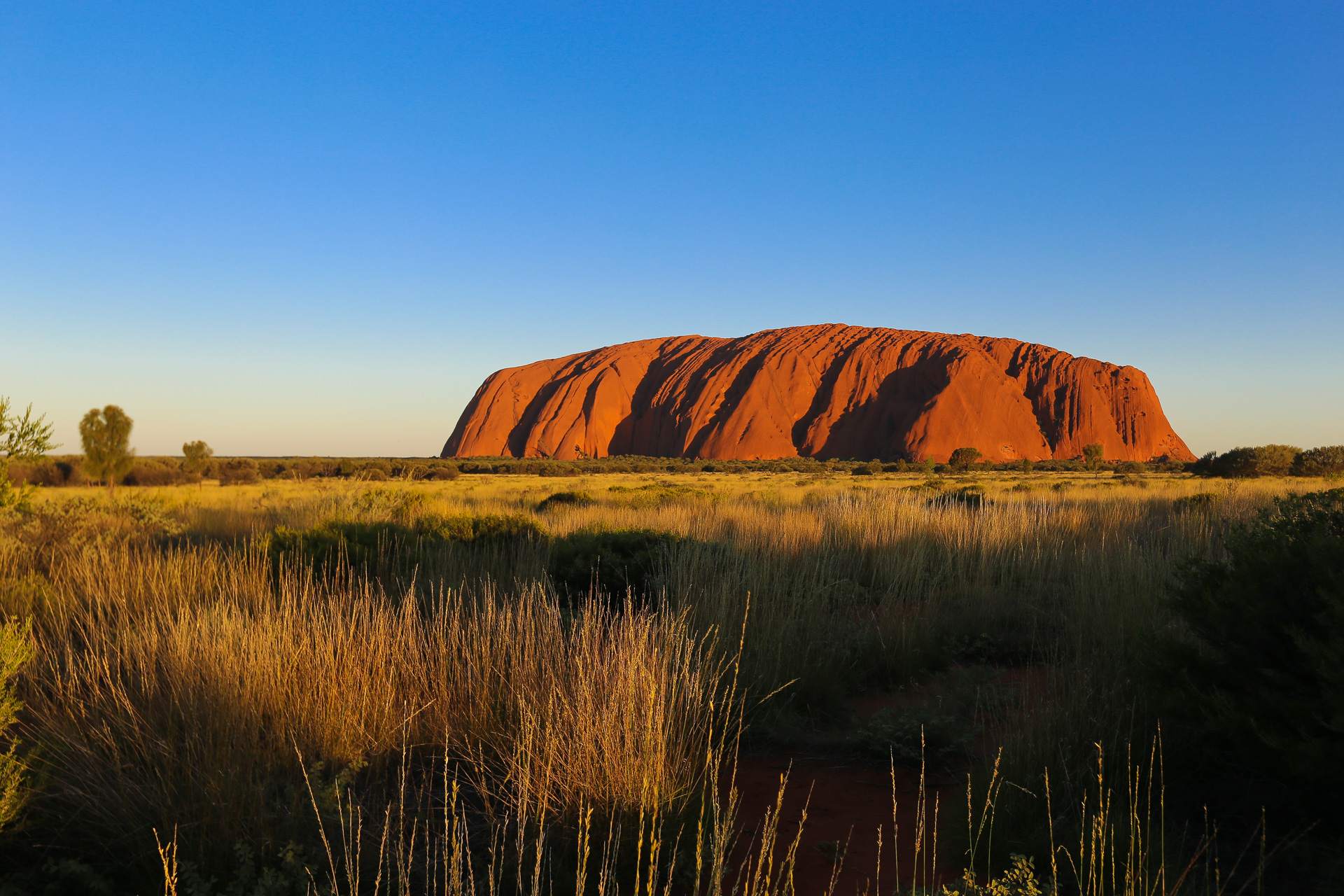 Uluru - De Kings Canyon à Ayers Rock