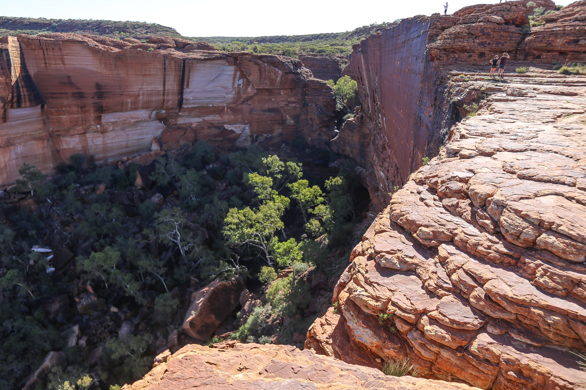 ... A l’aplomb du Jardin d’Eden - De Kings Canyon à Ayers Rock