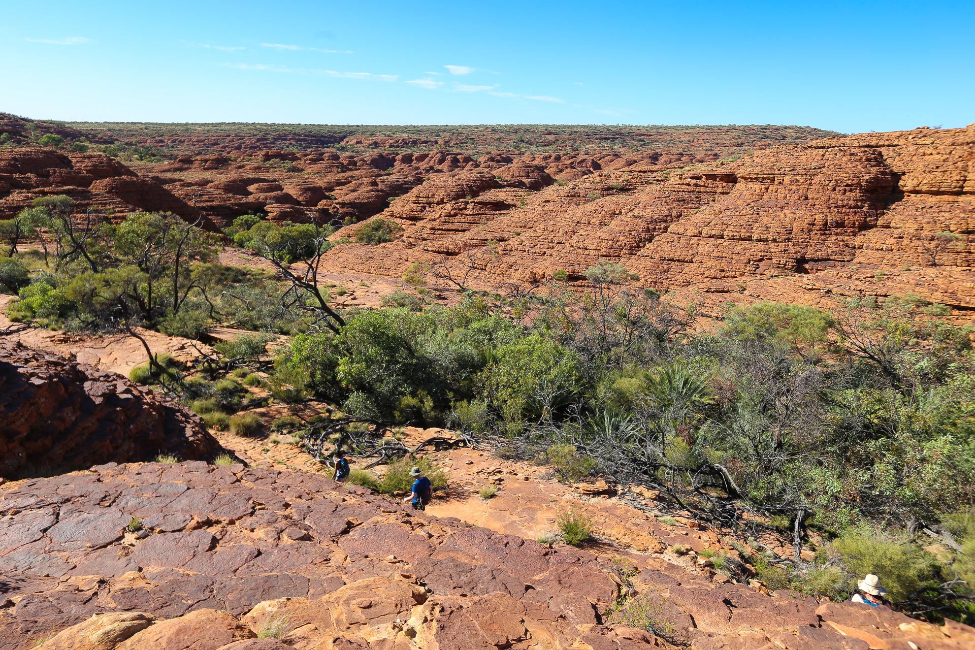 Derniers pas sur le plateau sommital de Kings Canyon - De Kings Canyon à Ayers Rock