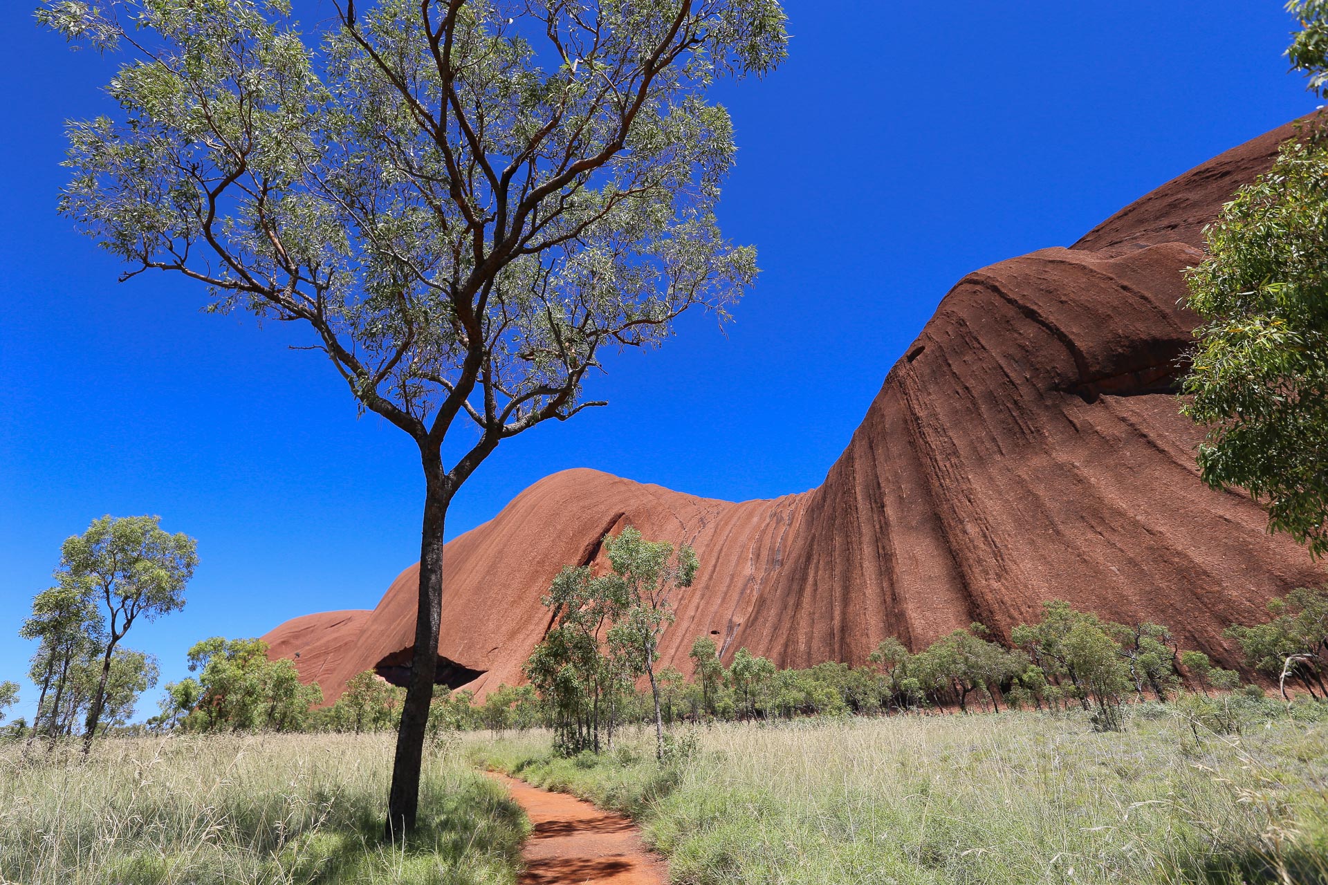 Monts Olga (Kata Tjuta) 