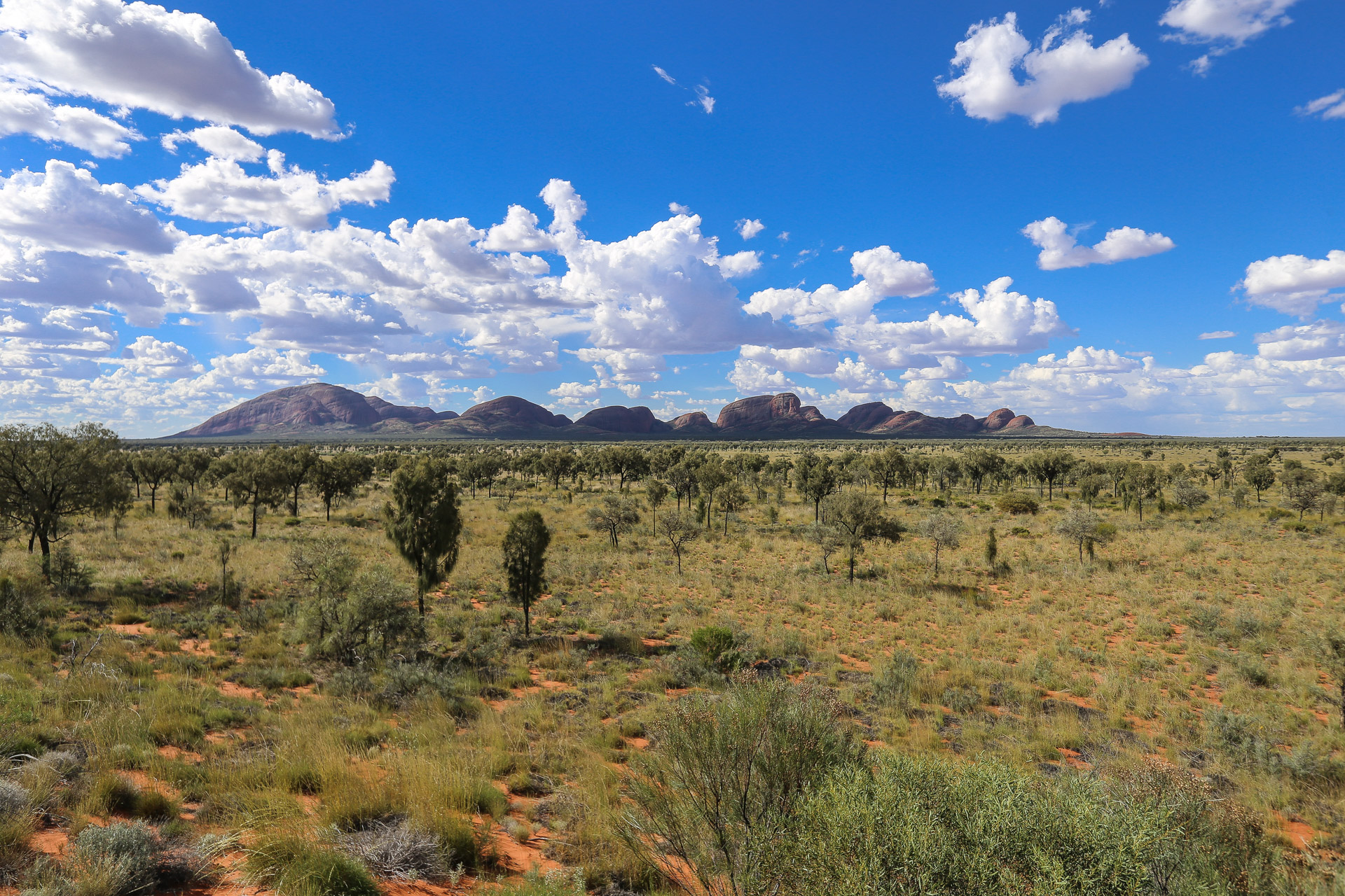 Les Monts Olgas