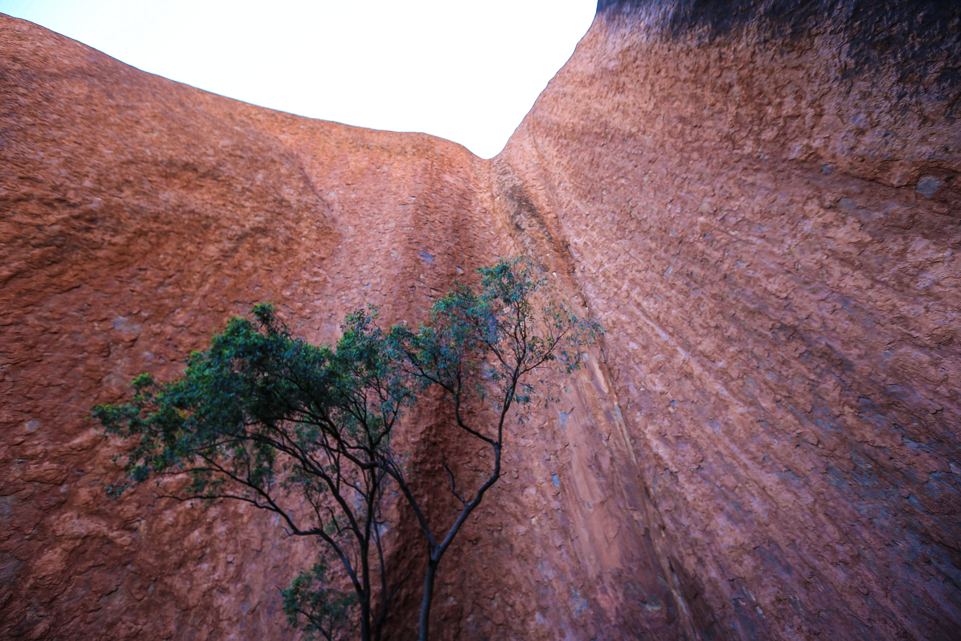 Monts Olga (Kata Tjuta) 