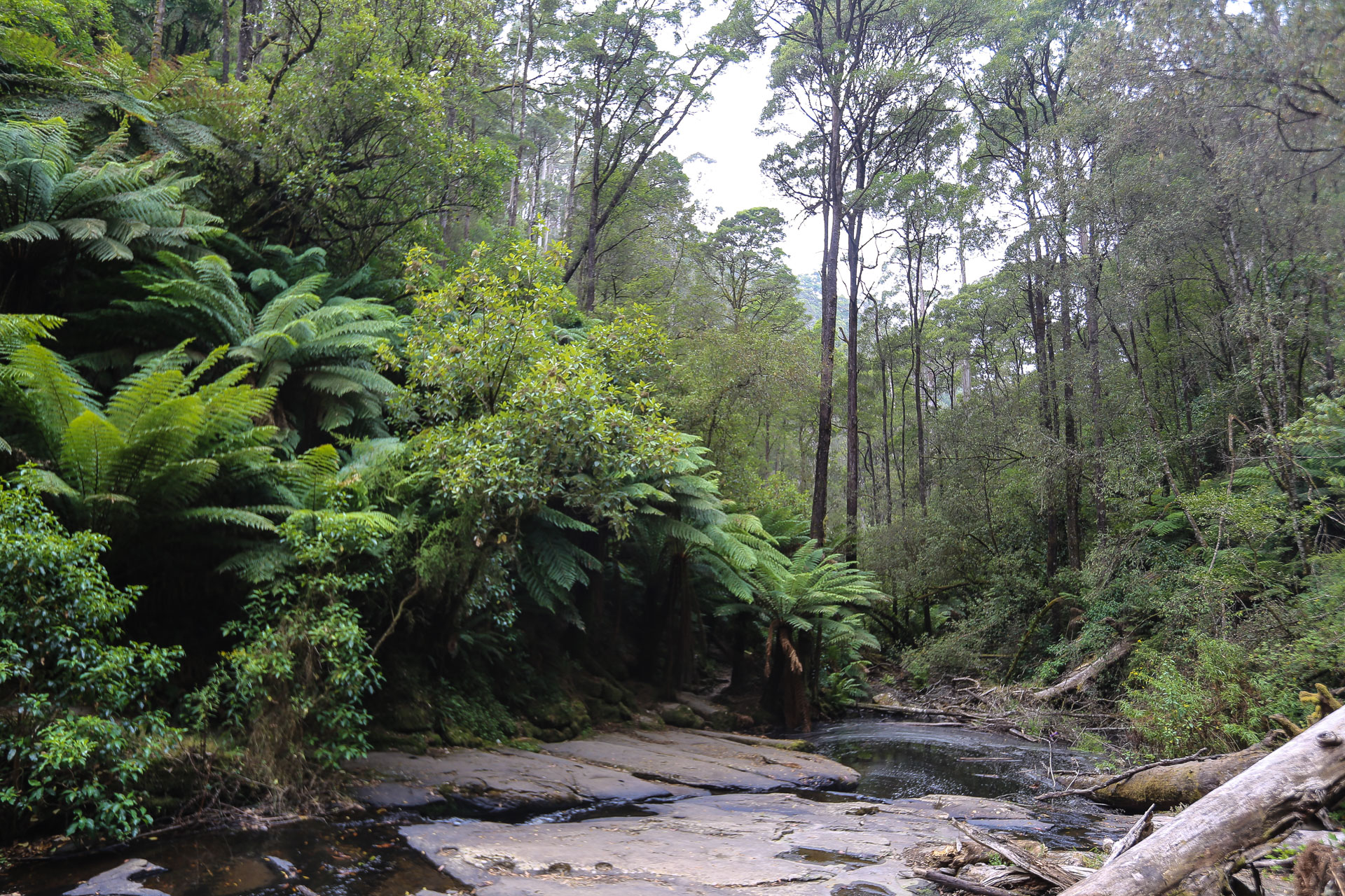 Erkines Falls