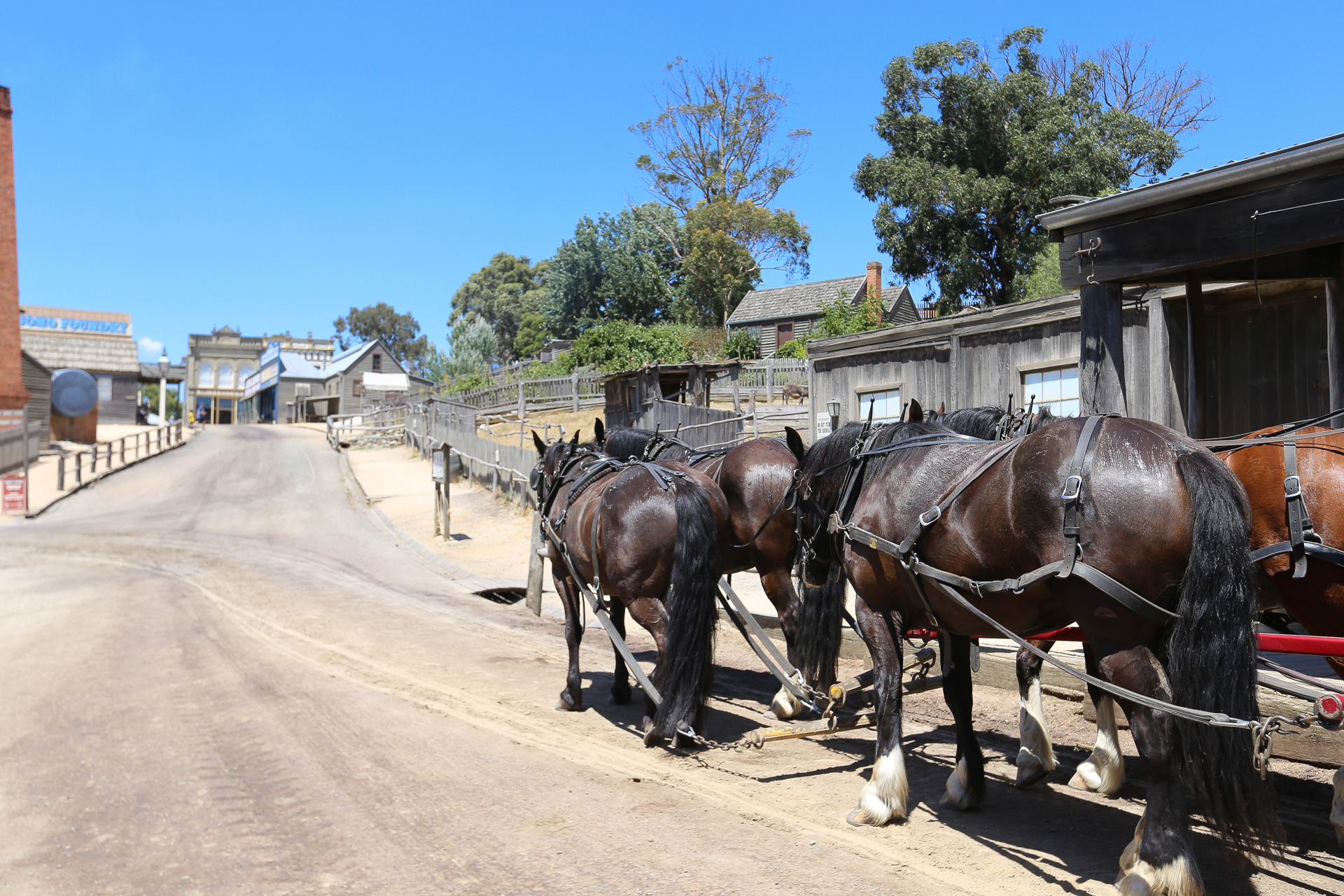 On peut même faire le tour de la ville en calèche - De Halls Gap à Melbourne