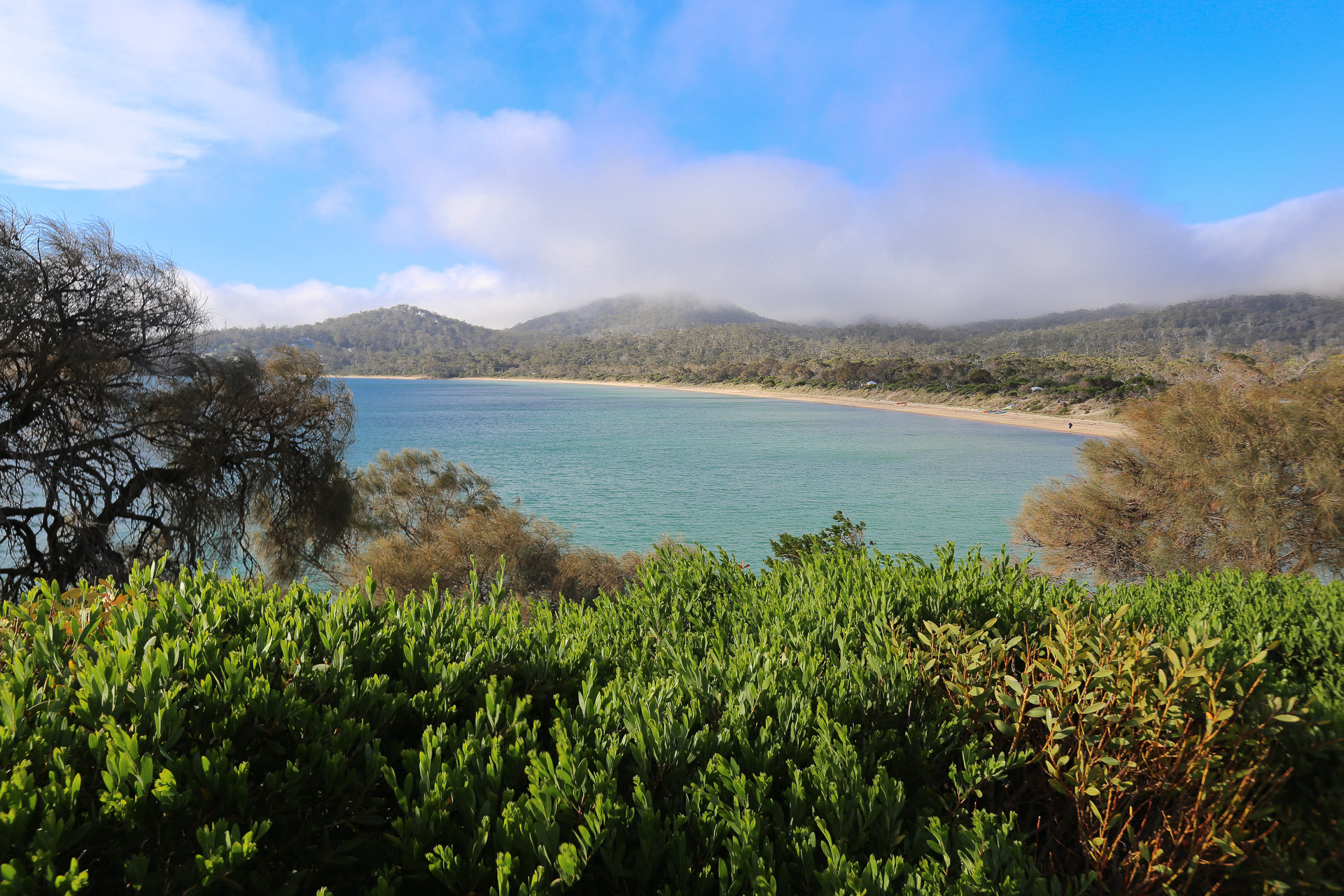 La plage devant Freycinet Lodge - Tasmanie Hobart et Freycinet National Park