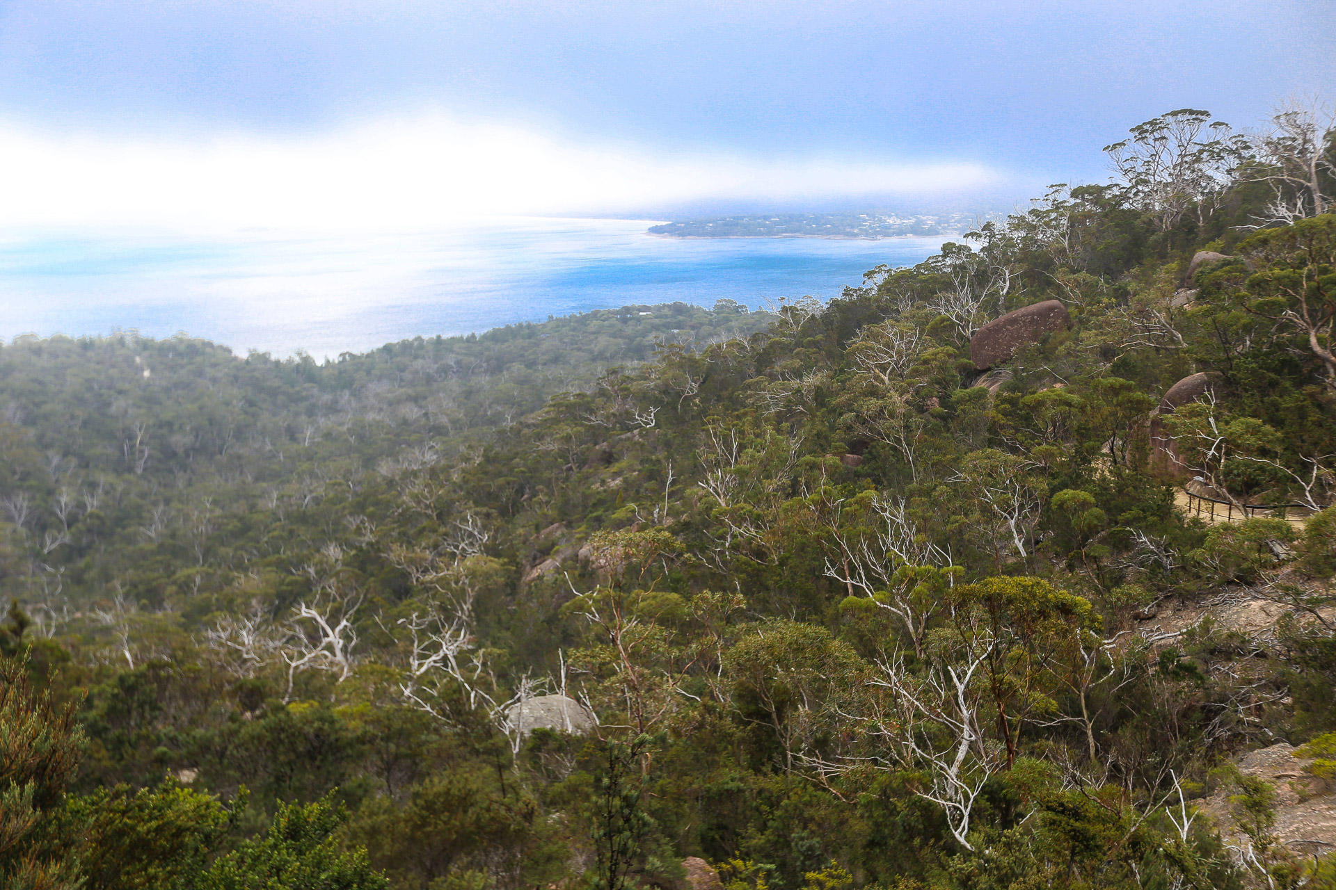 Pendant la montée au col, vue sur Great Oyster Bay - Freycinet National Park