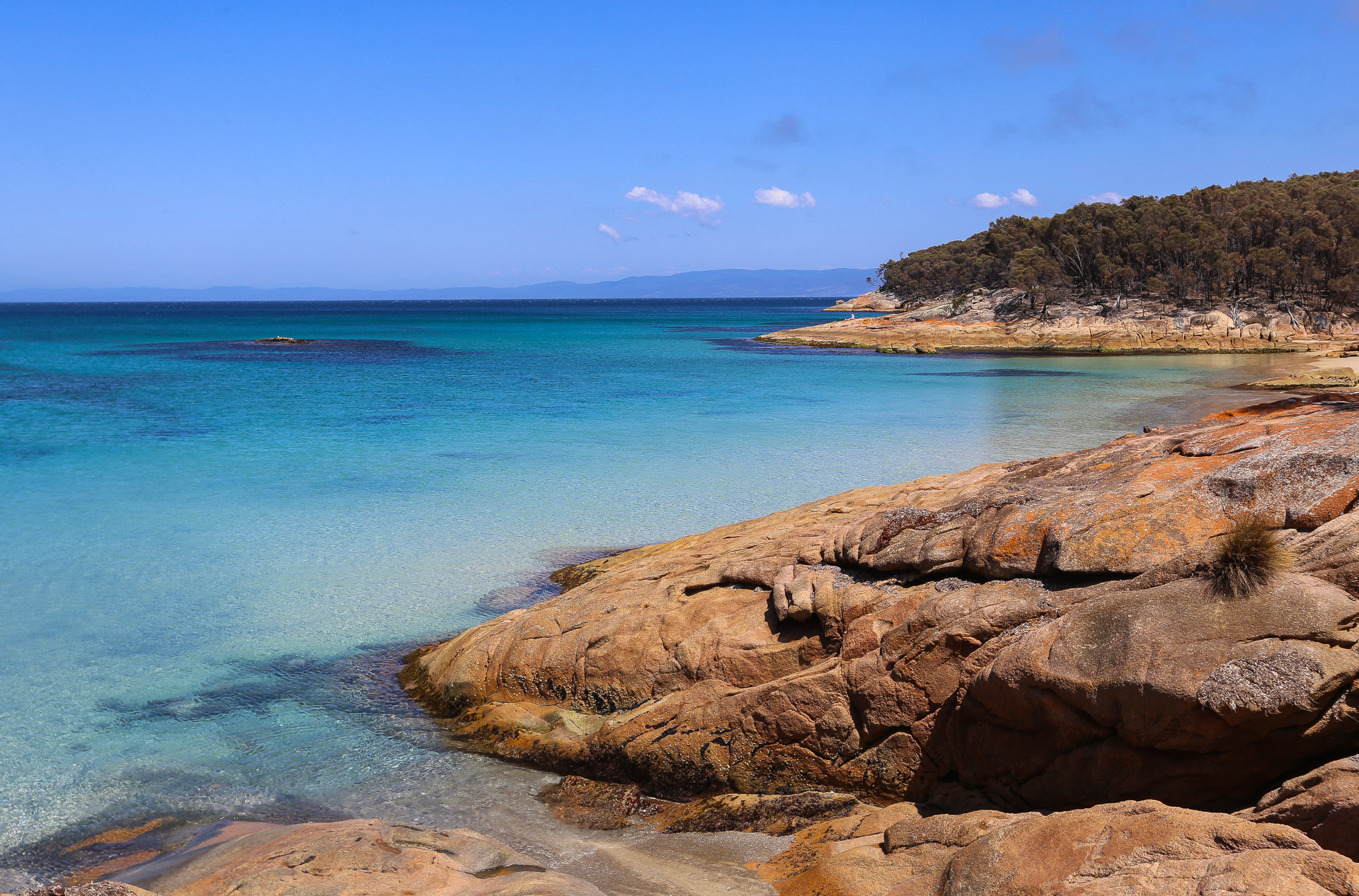 Une très belle eau... mais bien froide ! - Freycinet National Park