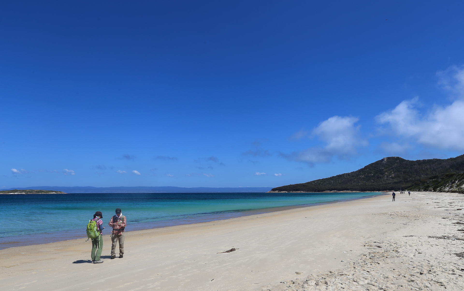 Hazards Beach est même plus belle que Wineglass Beach ! - Freycinet National Park