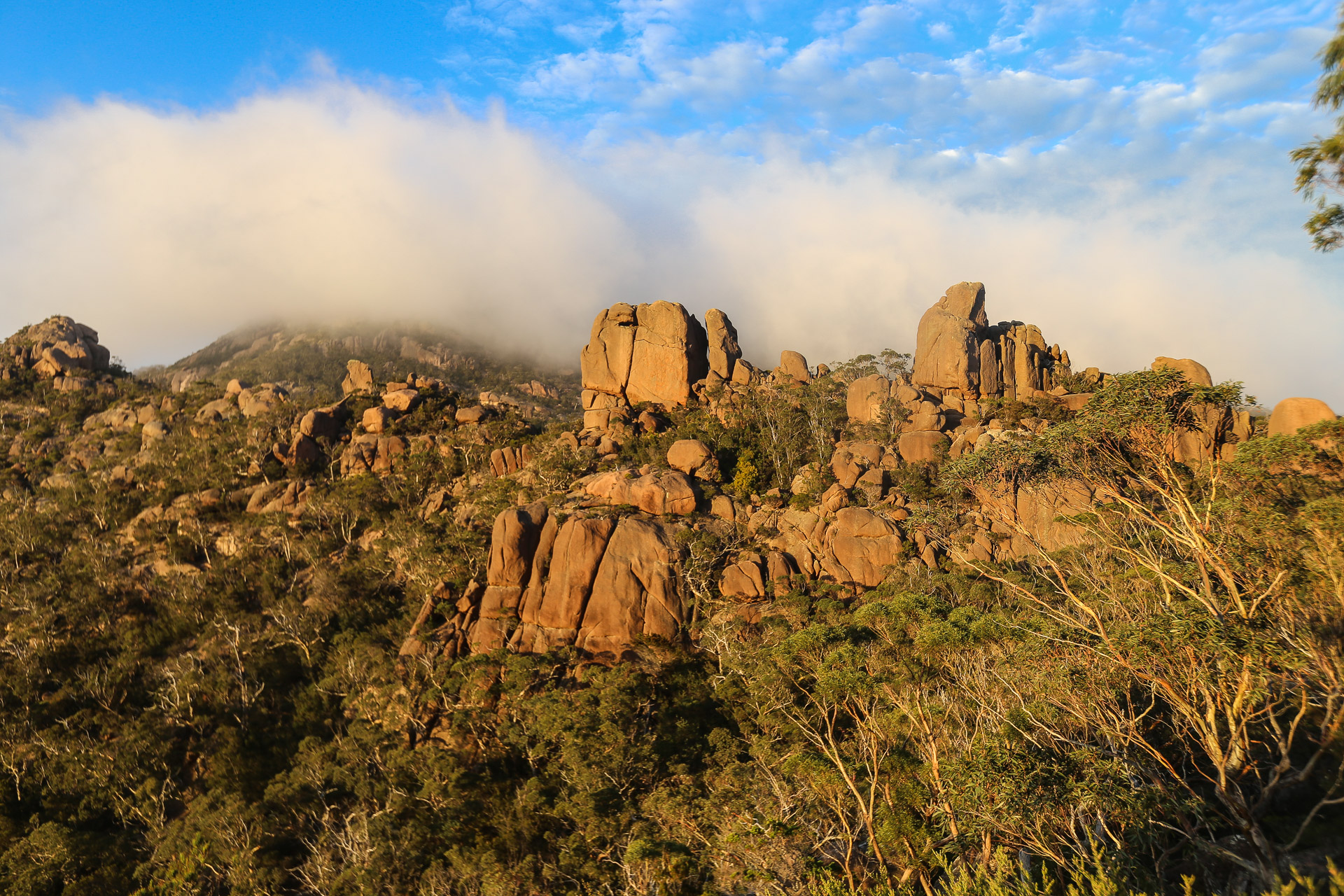 Au-dessus du col du Wineglass Bay Lookout - De Freycinet National Park à Launceston