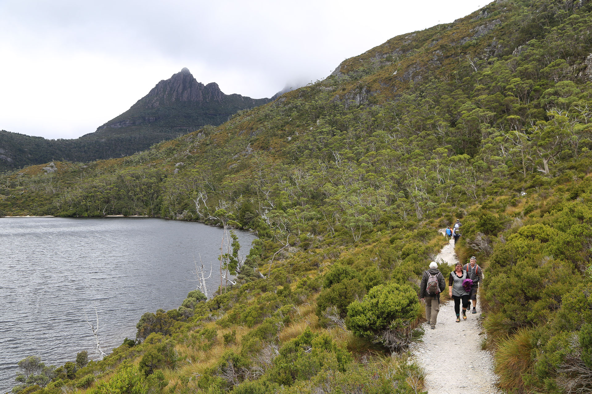 Balade de 2h30 autour du la Dove - De Launceston à Cradle Mountain