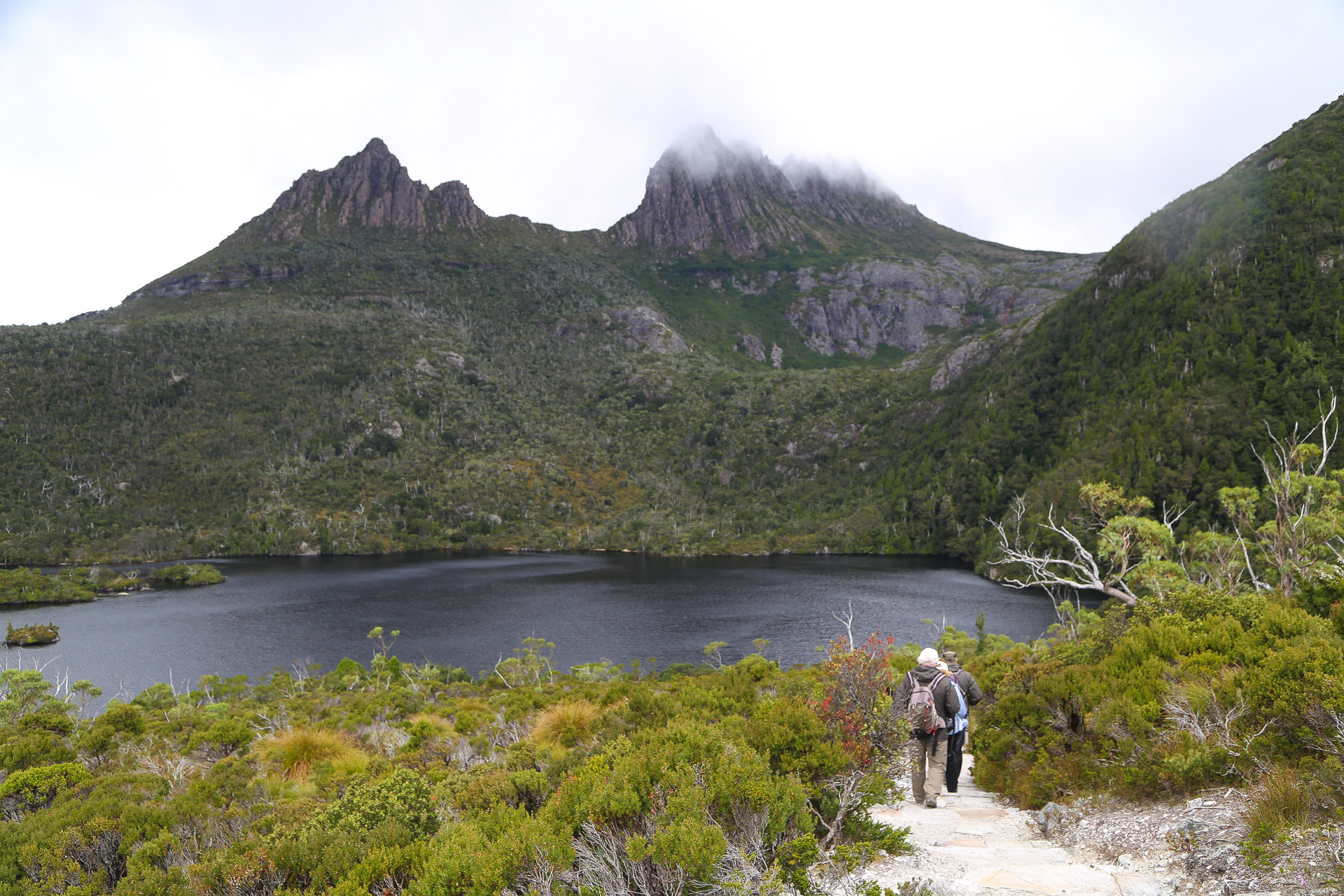 Le sommet de Cradle Mountain daigne apparaître - De Launceston à Cradle Mountain