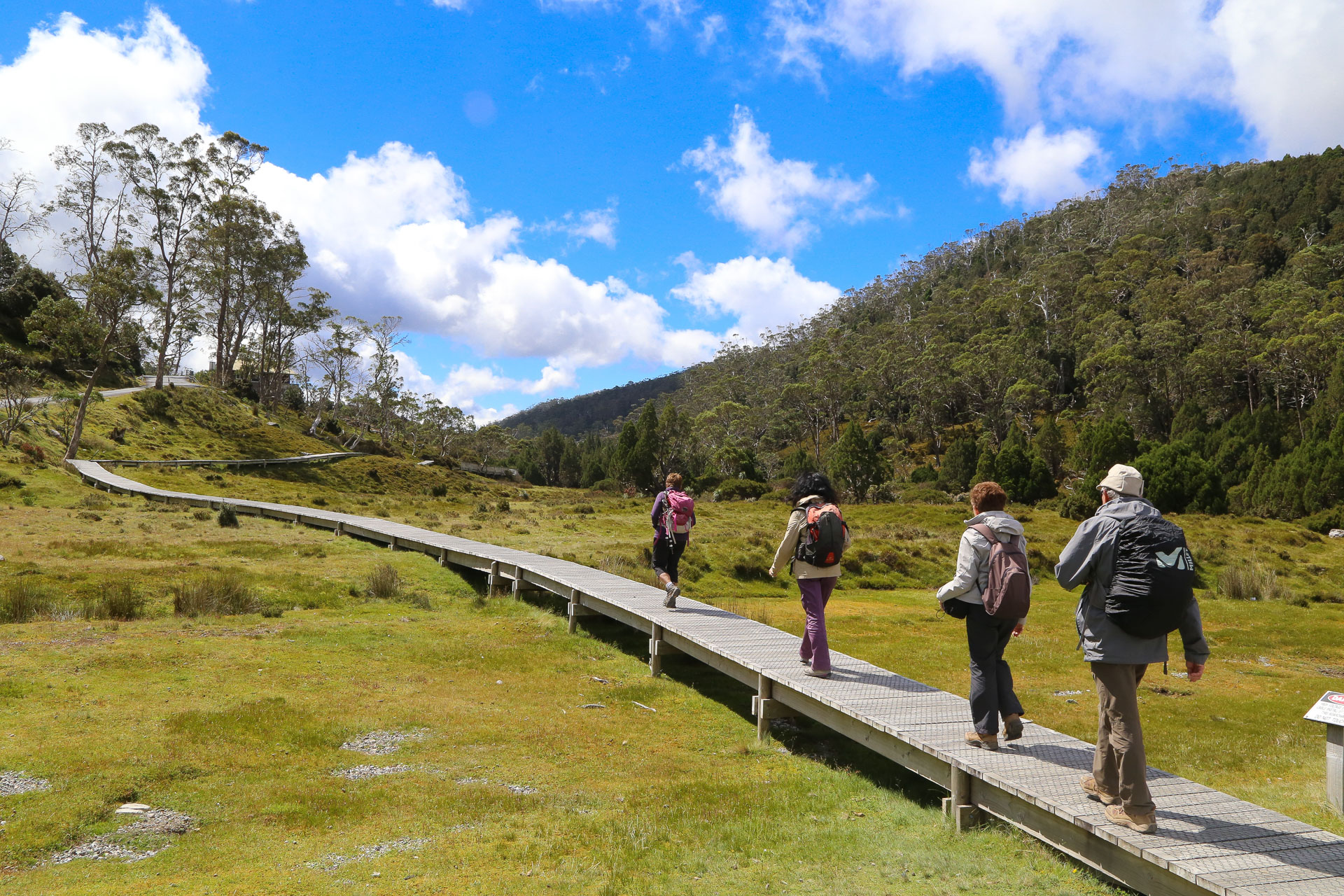 Départ du Boardtrack pour Ranger Station : 2 heures de balade - De Launceston à Cradle Mountain