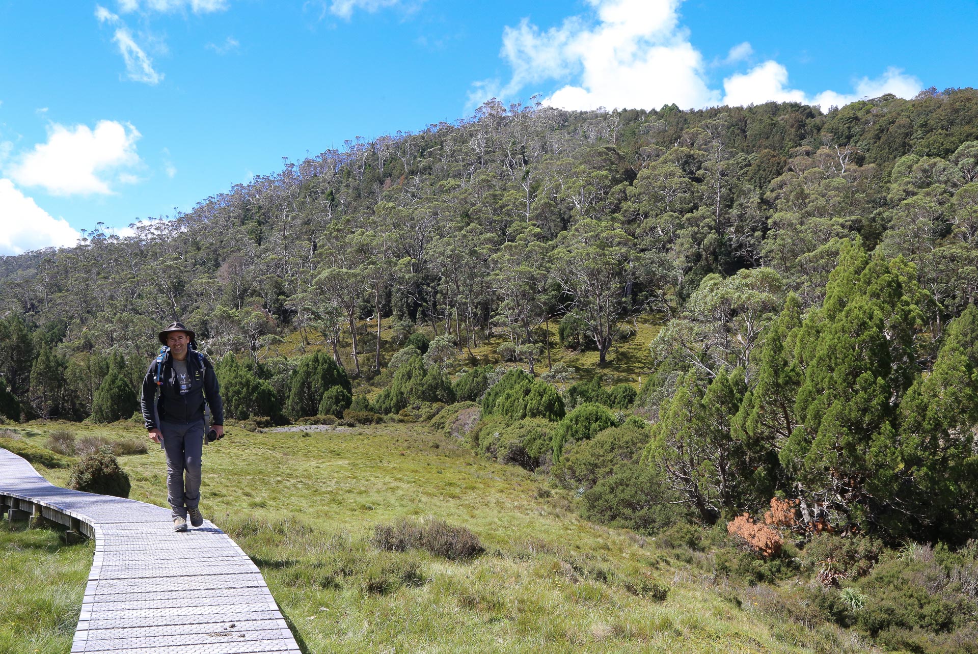 Crocodile Thierry Dundee, toujours fidèle au poste ! - De Launceston à Cradle Mountain