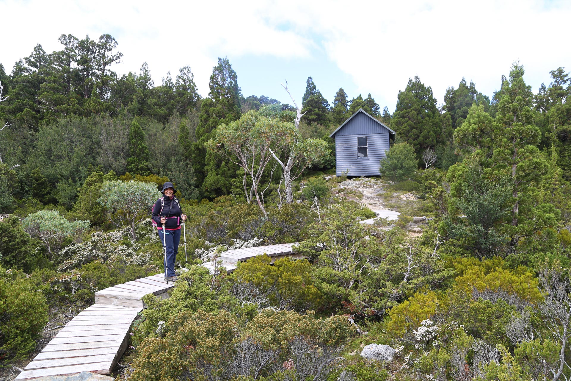 Balade dans le Cradle Mountain National Park