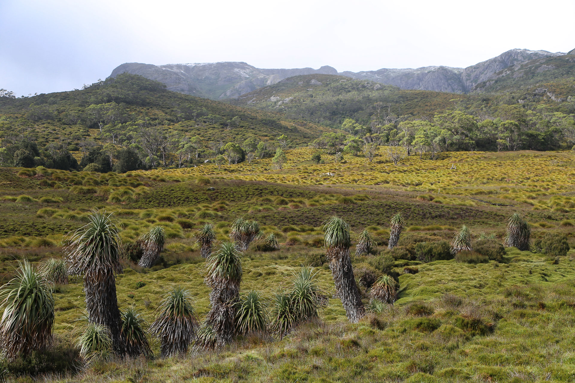 CRADLE MOUNTAIN PARK