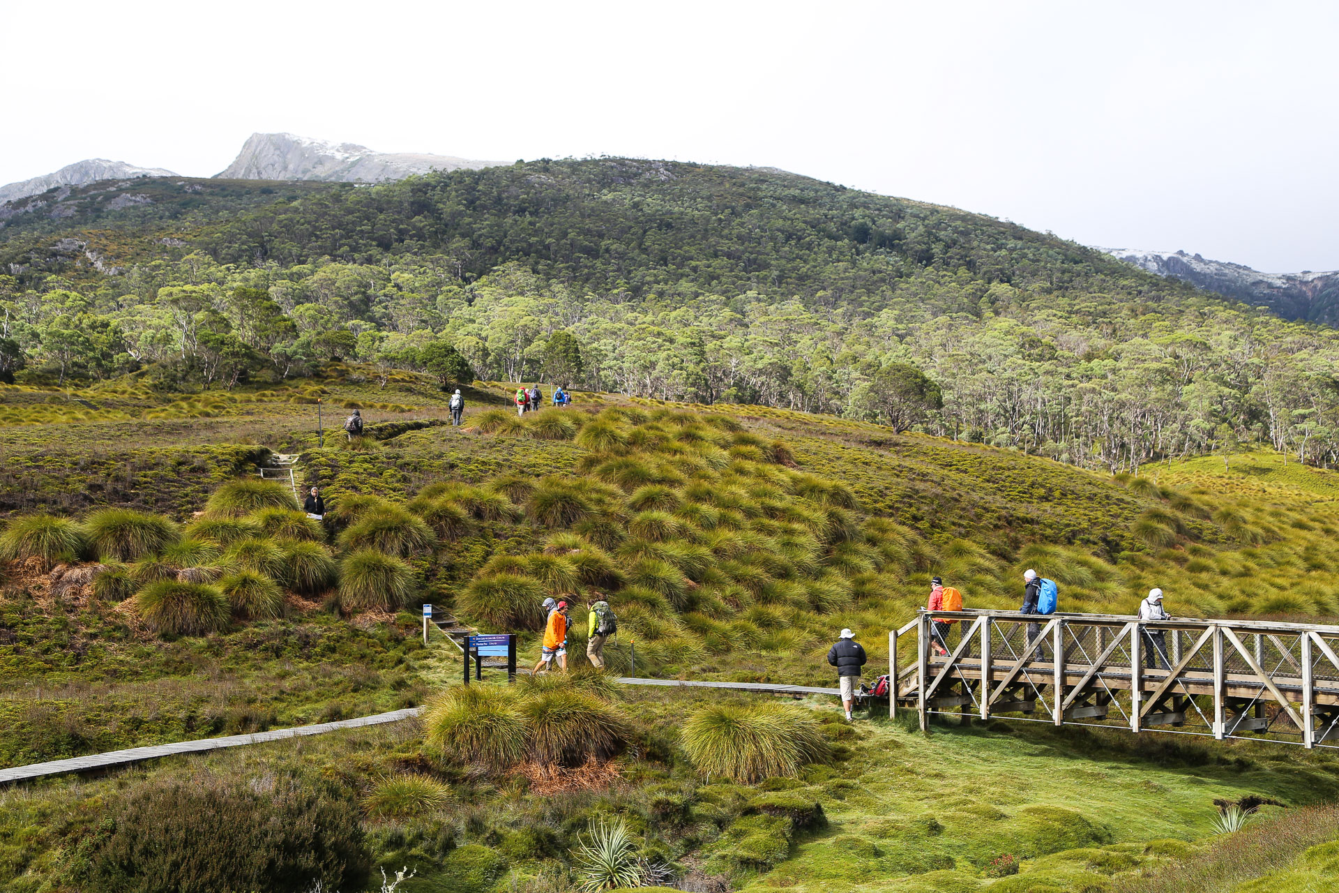 CRADLE MOUNTAIN PARK