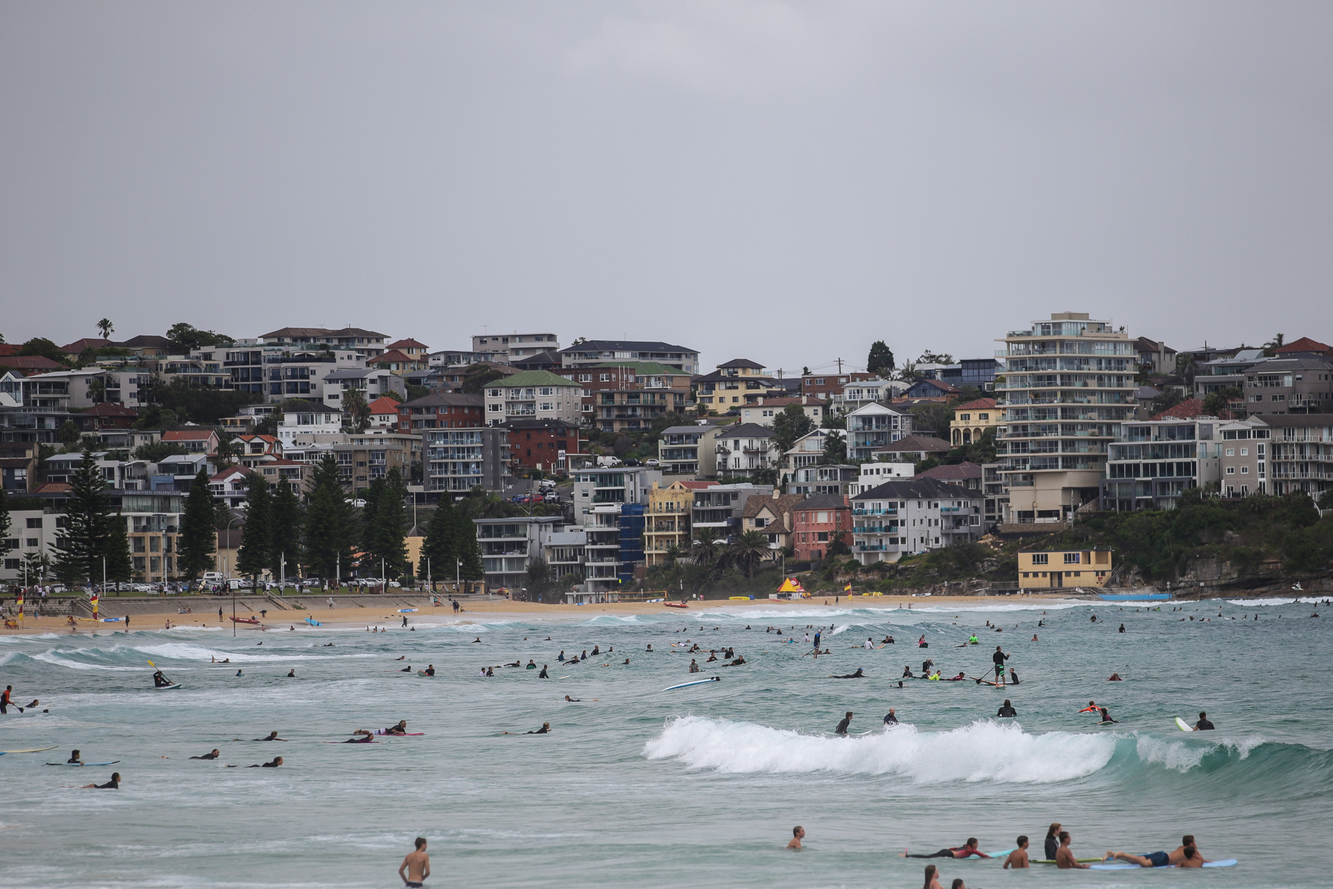 manly surf