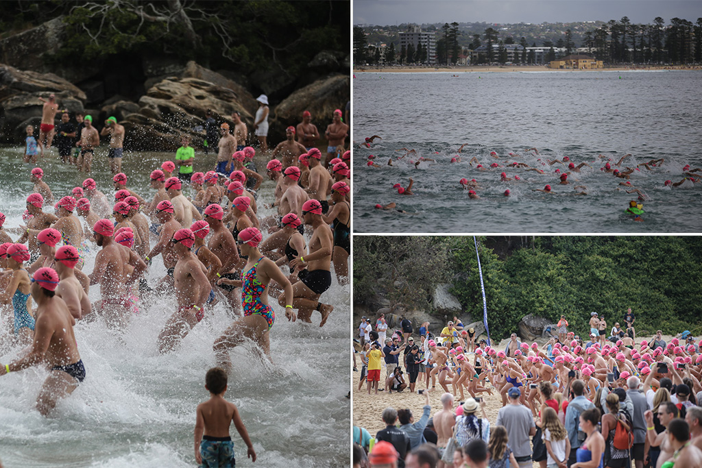 competition natation sydney manly