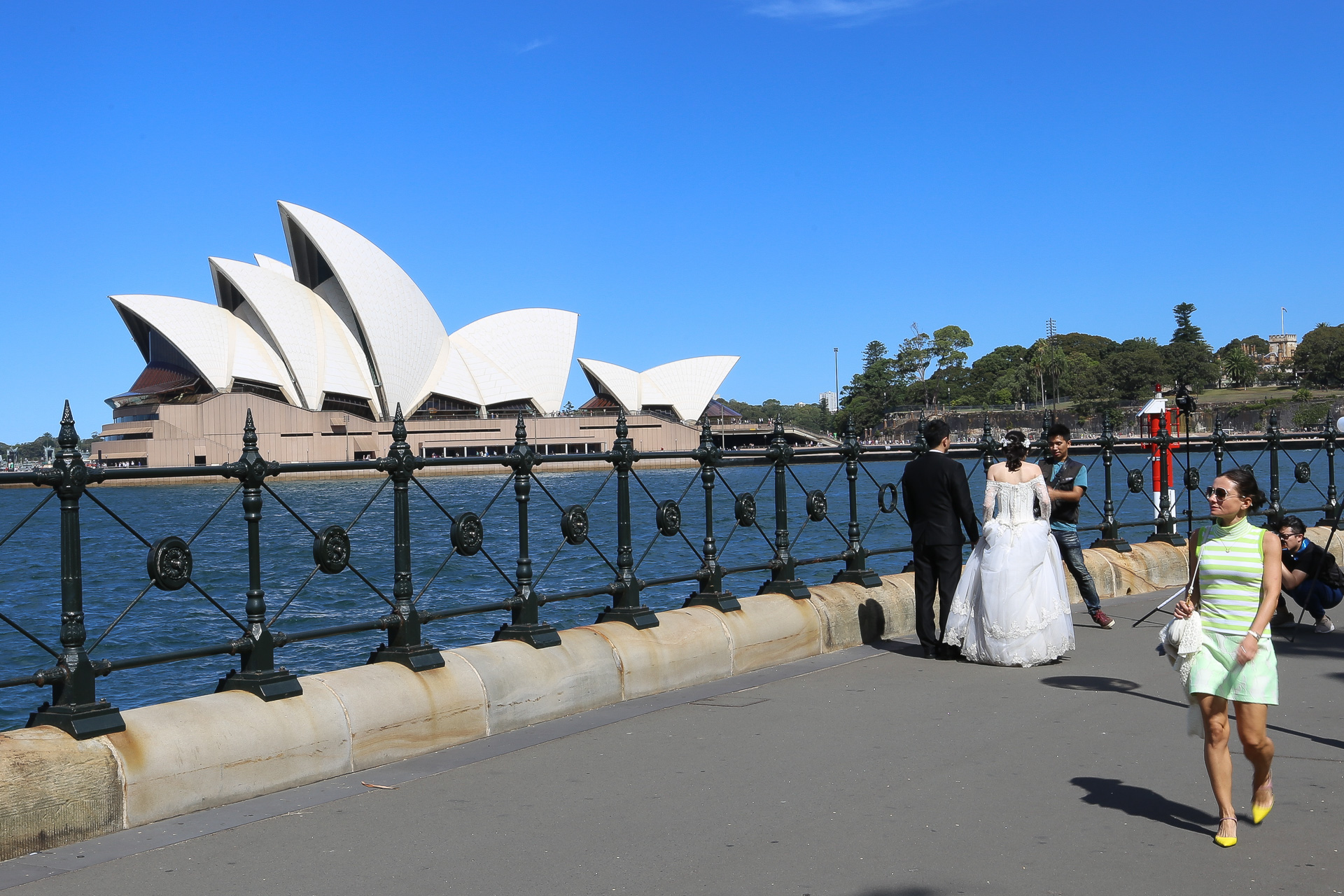 harbour bridge