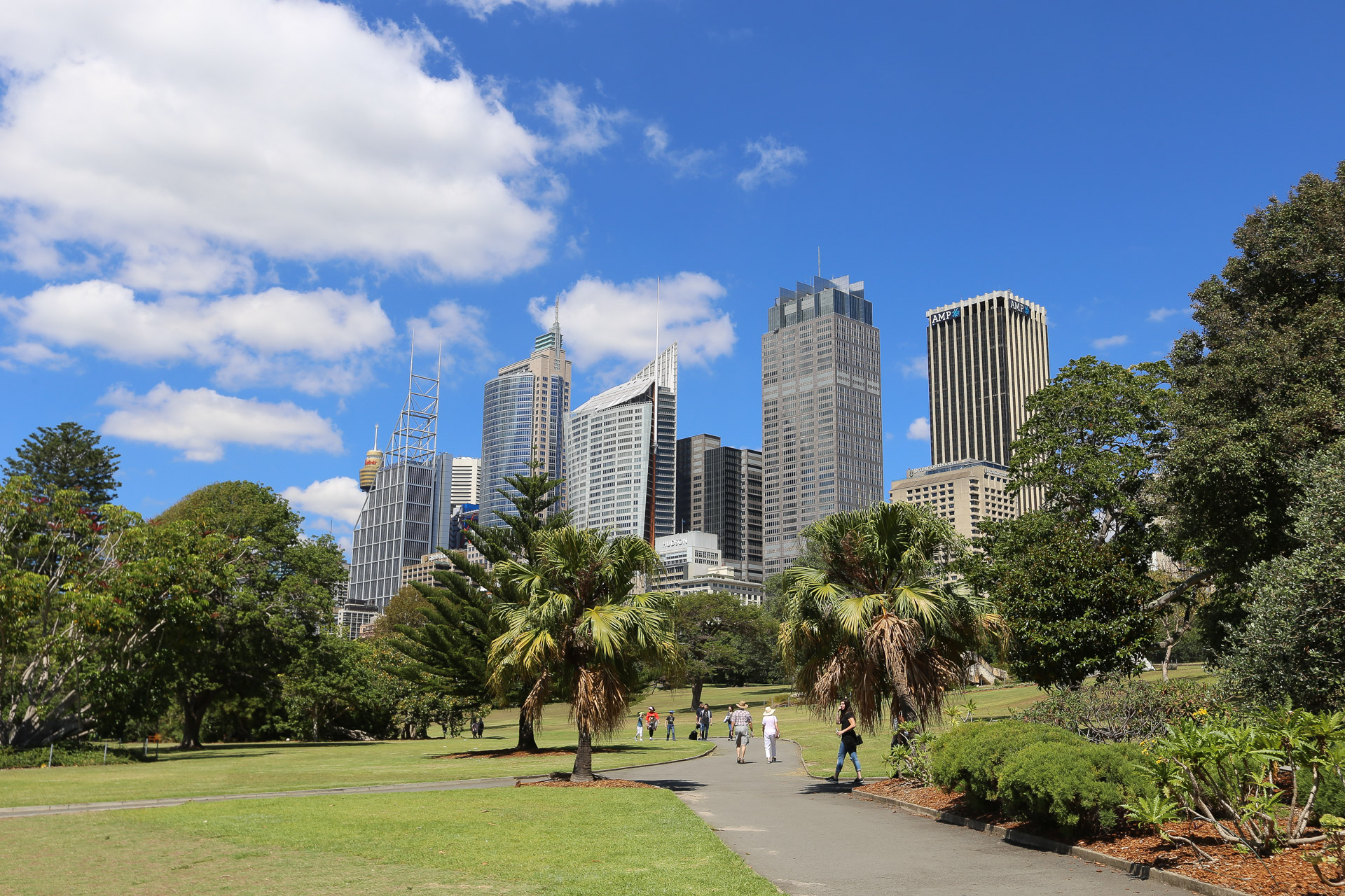 opéra jardin botanique sydney