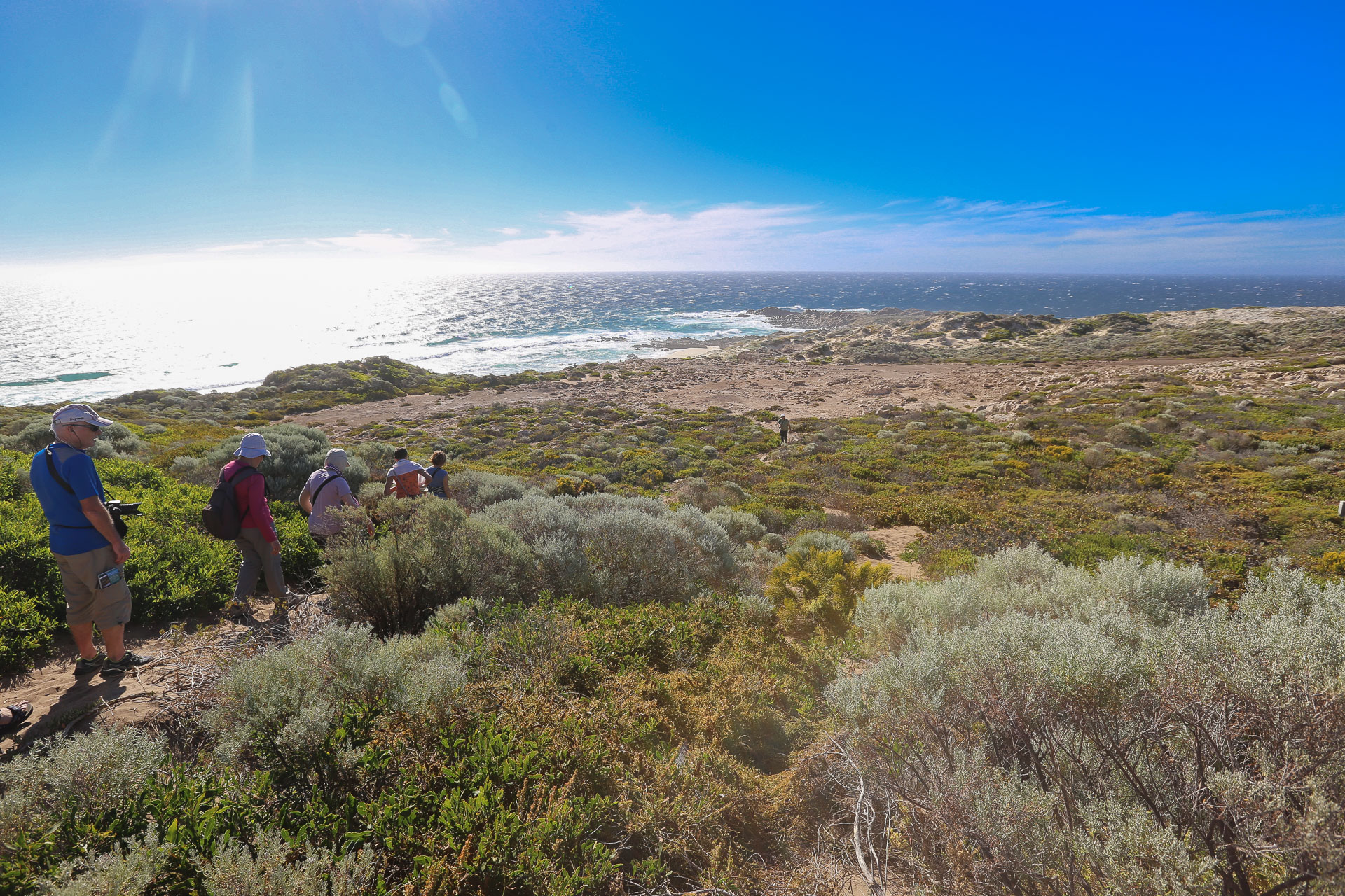 Sentier Cape Naturalist voyage Australie Tirawa