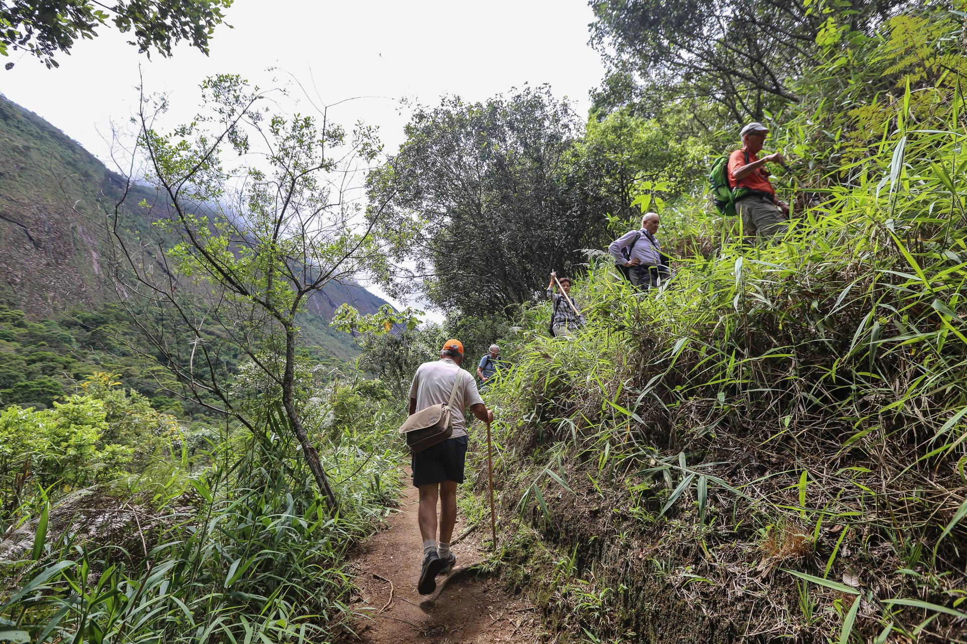 Randonnée dans le Parc National de la Serra dos Orgãos