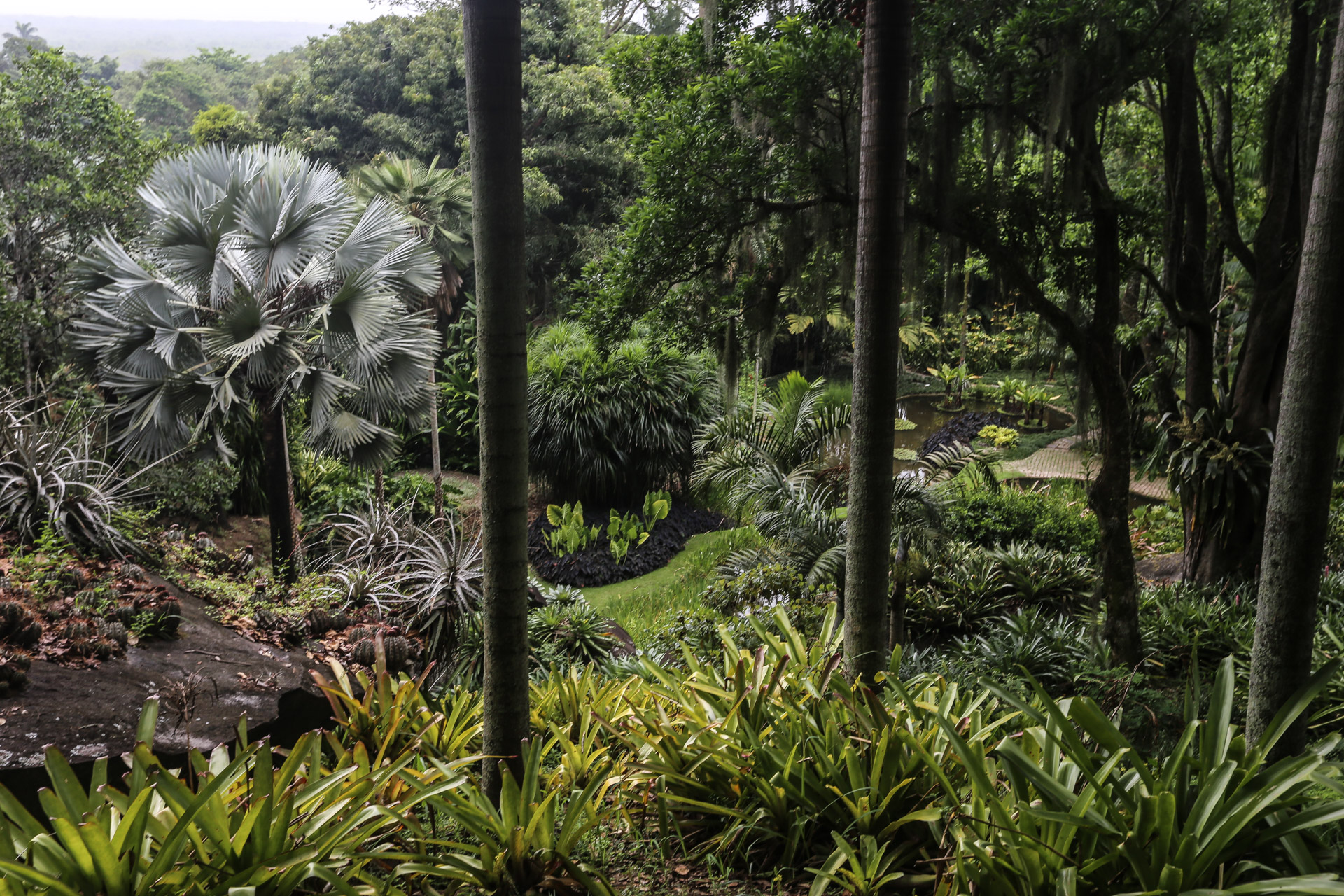 Chemin à l’intérieur du site de Burle Marx