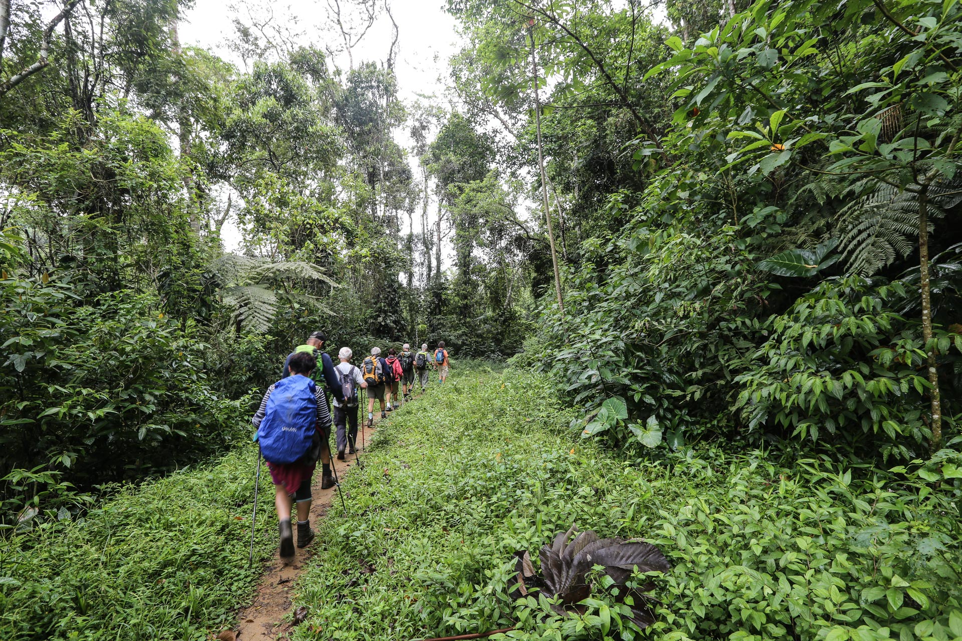 En route pour le Saco do Manangua