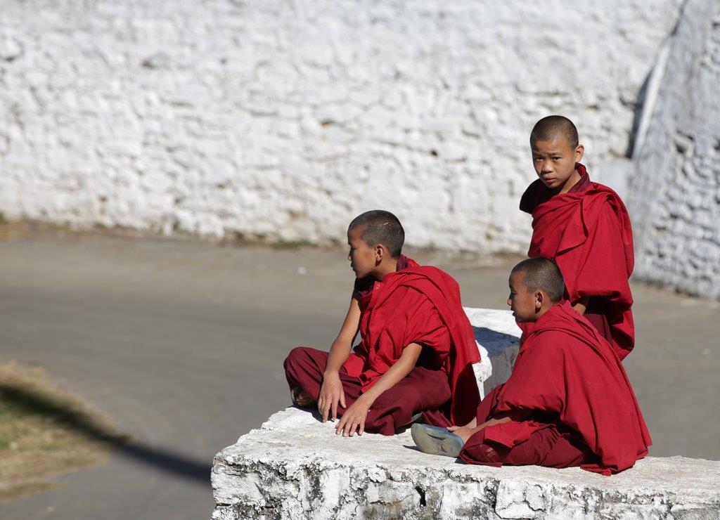 Moinillons à l'entrée du dzong de Mongar