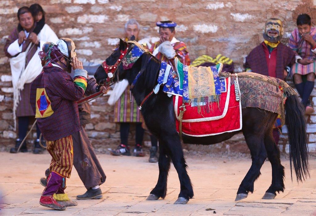 Malheureusement pour le cheval ... ce sont des Atsara qui le tiennent par la bride. Ils n'arrêteront pas de l'ennuyer