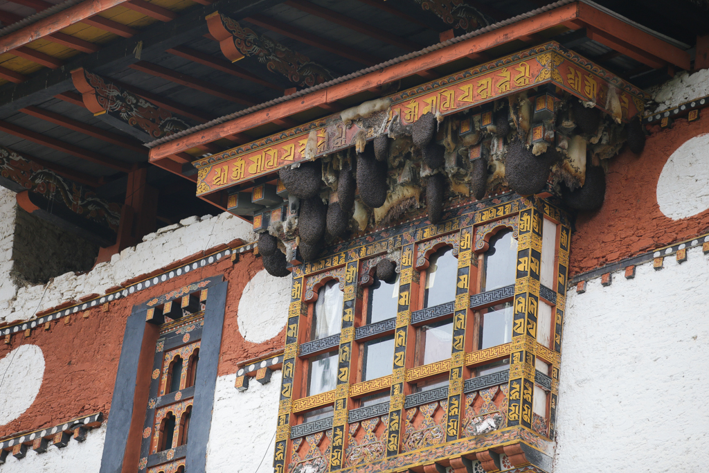 Des essaims d'abeilles ont élu domicile dans des fenêtres du dzong