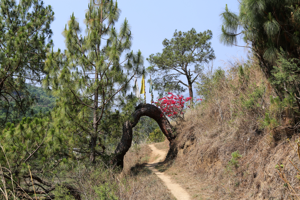 Le chemin qui monte au chorten