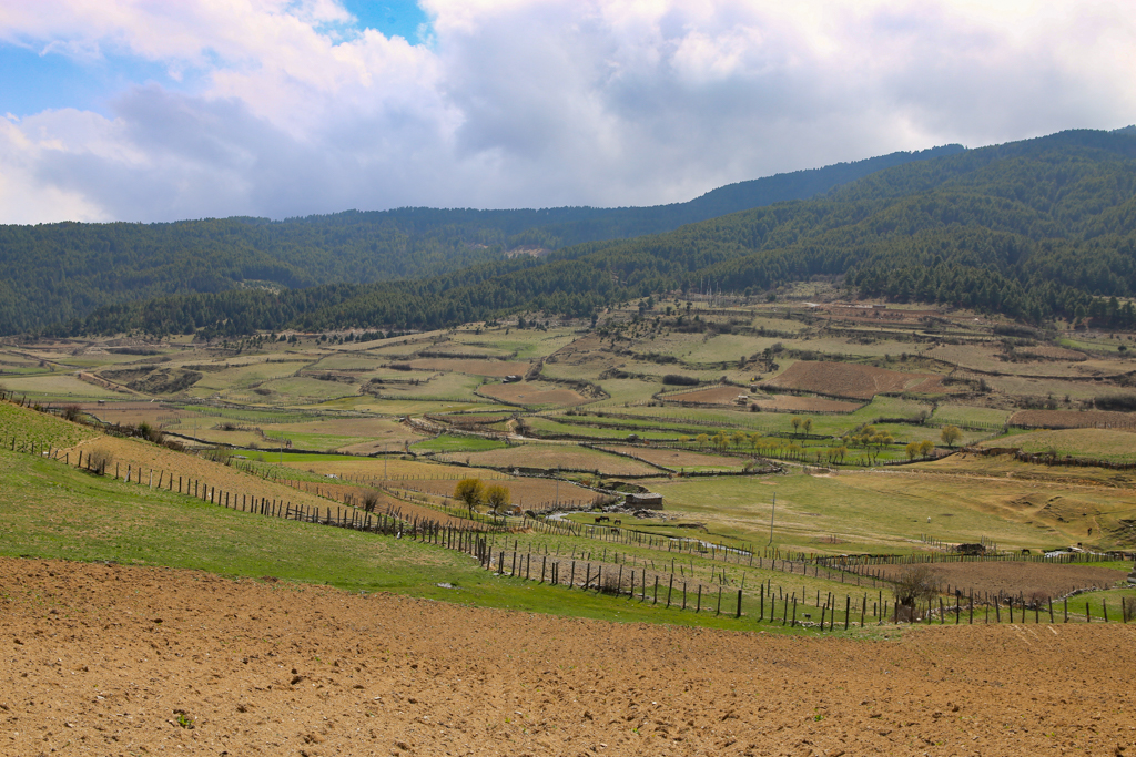 Vallée d'Ura