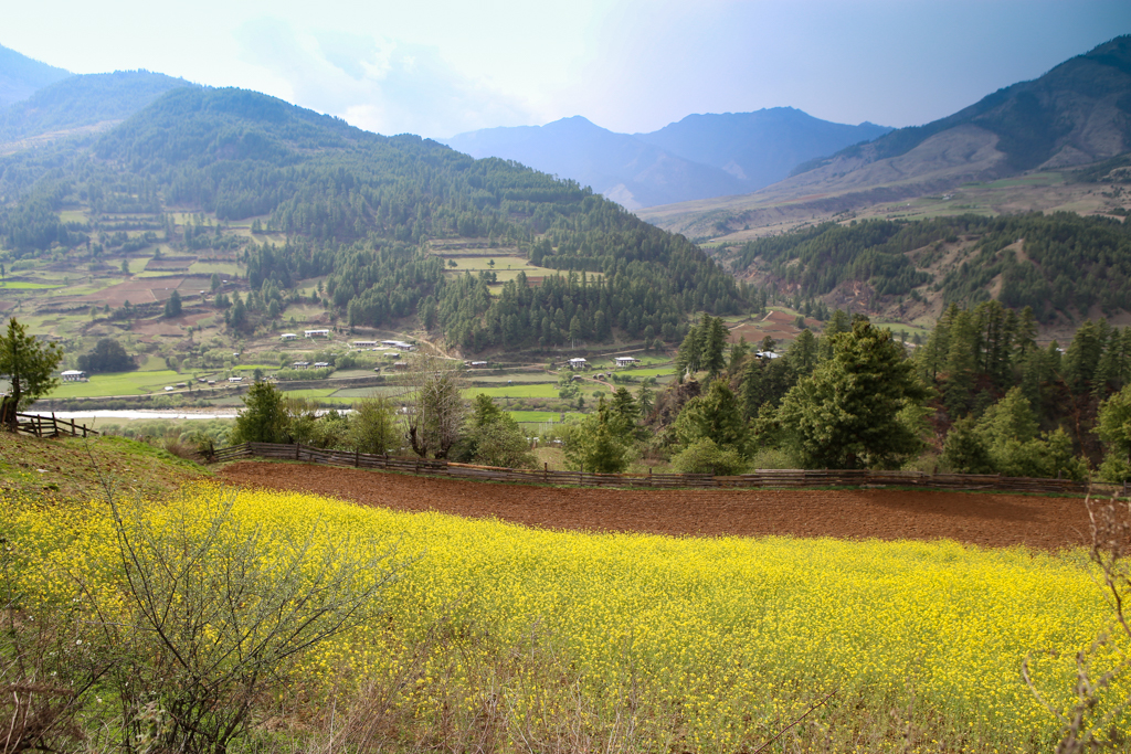 Sarrazin, Vallée de Tang