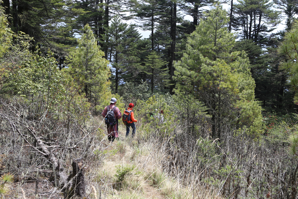 Descente sur Jakar