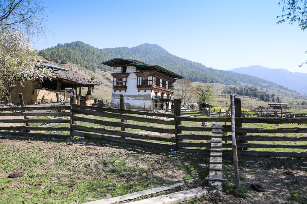 La maison que nous allons visiter, Phobjika