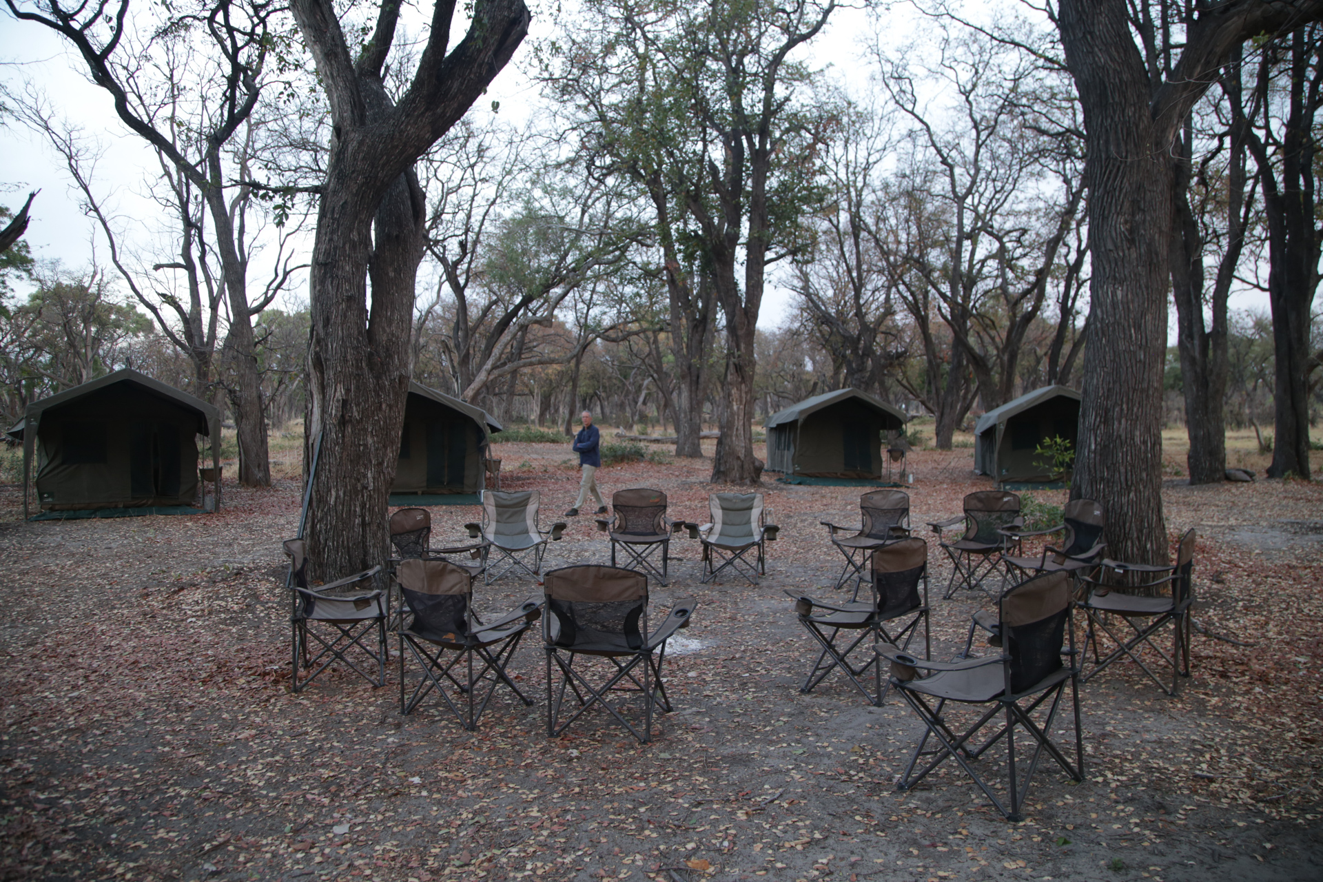 Camp de toile tout confort Safari Botswana Moremi