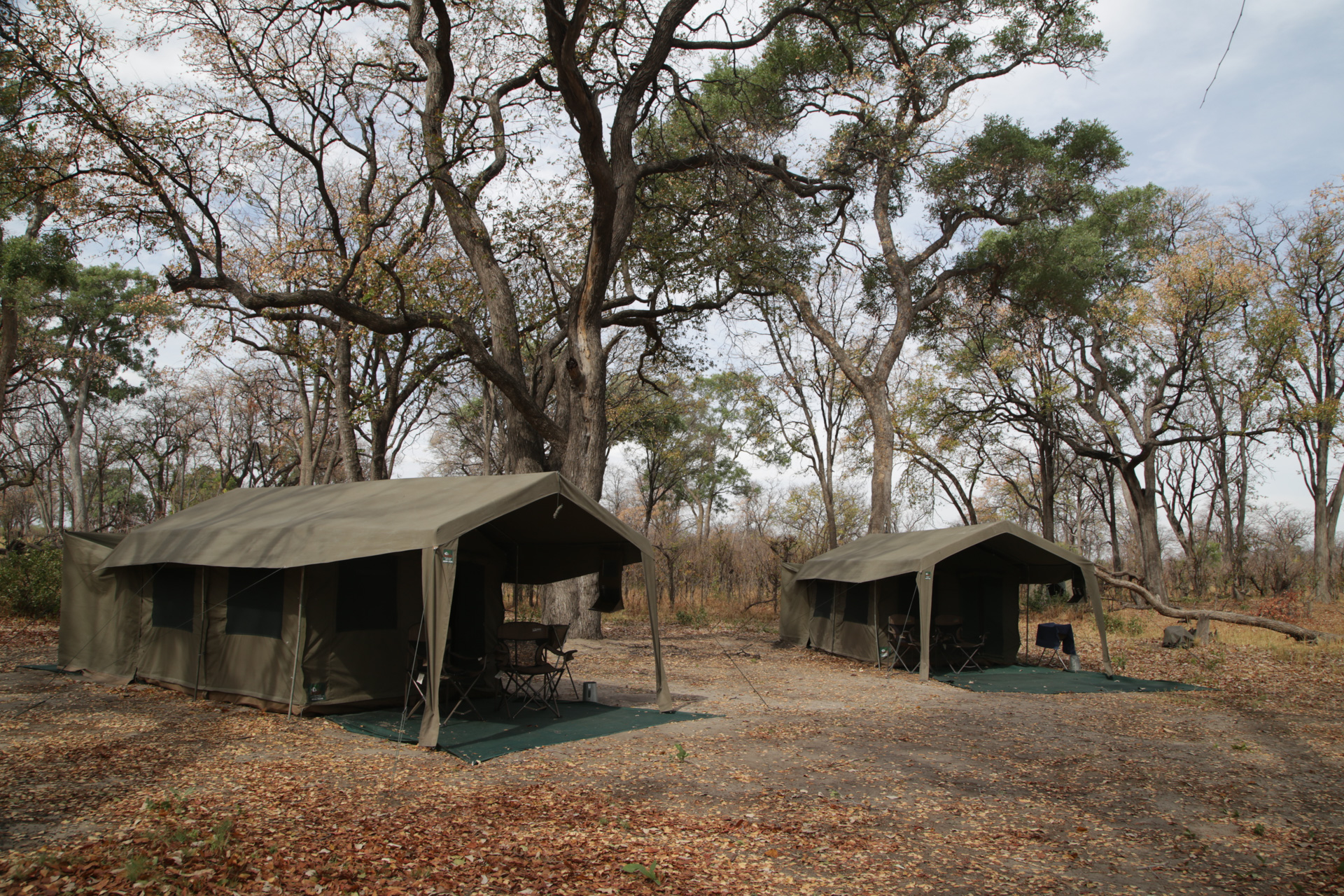 Camp de toile tout confort Safari Botswana Moremi