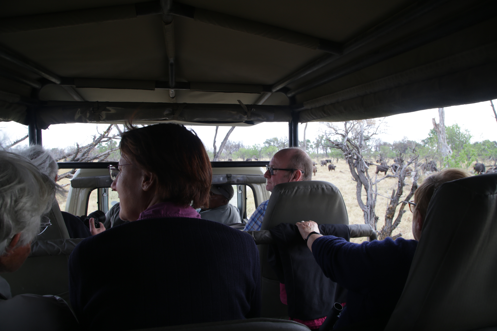 dans le 4x4 safari botswana Moremi Okavango