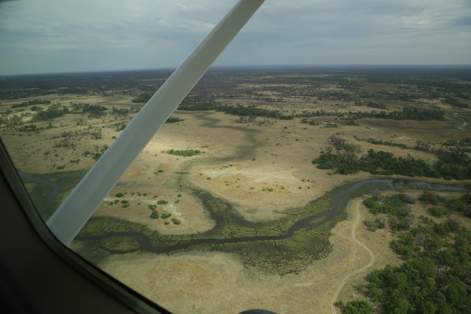 survol okavango