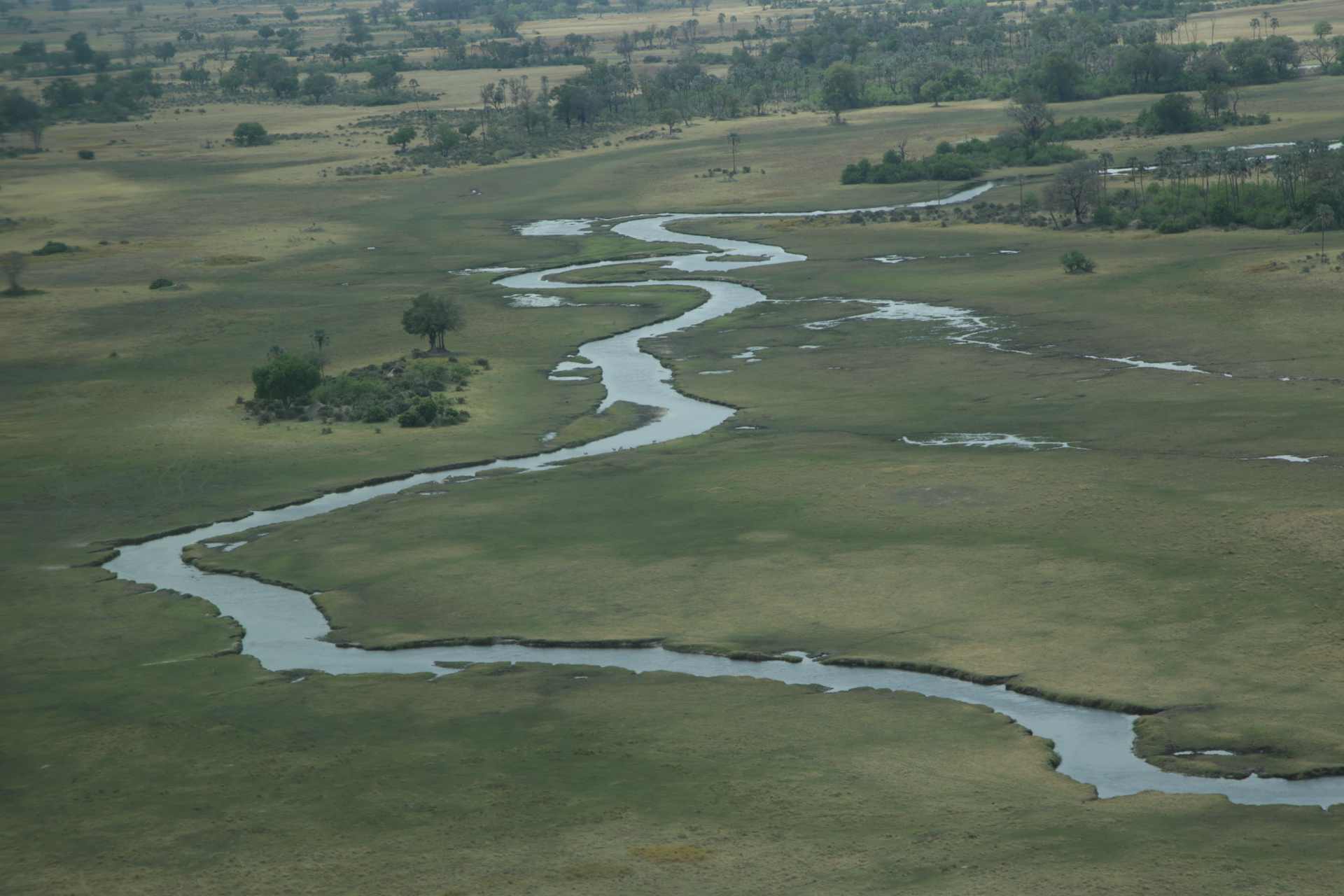 survol okavango